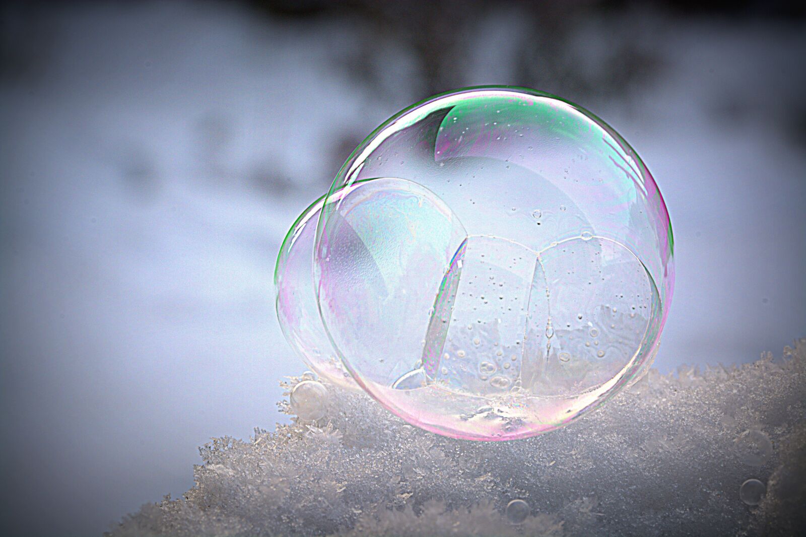 Nikon D5200 sample photo. Soap bubble, frozen, wintry photography