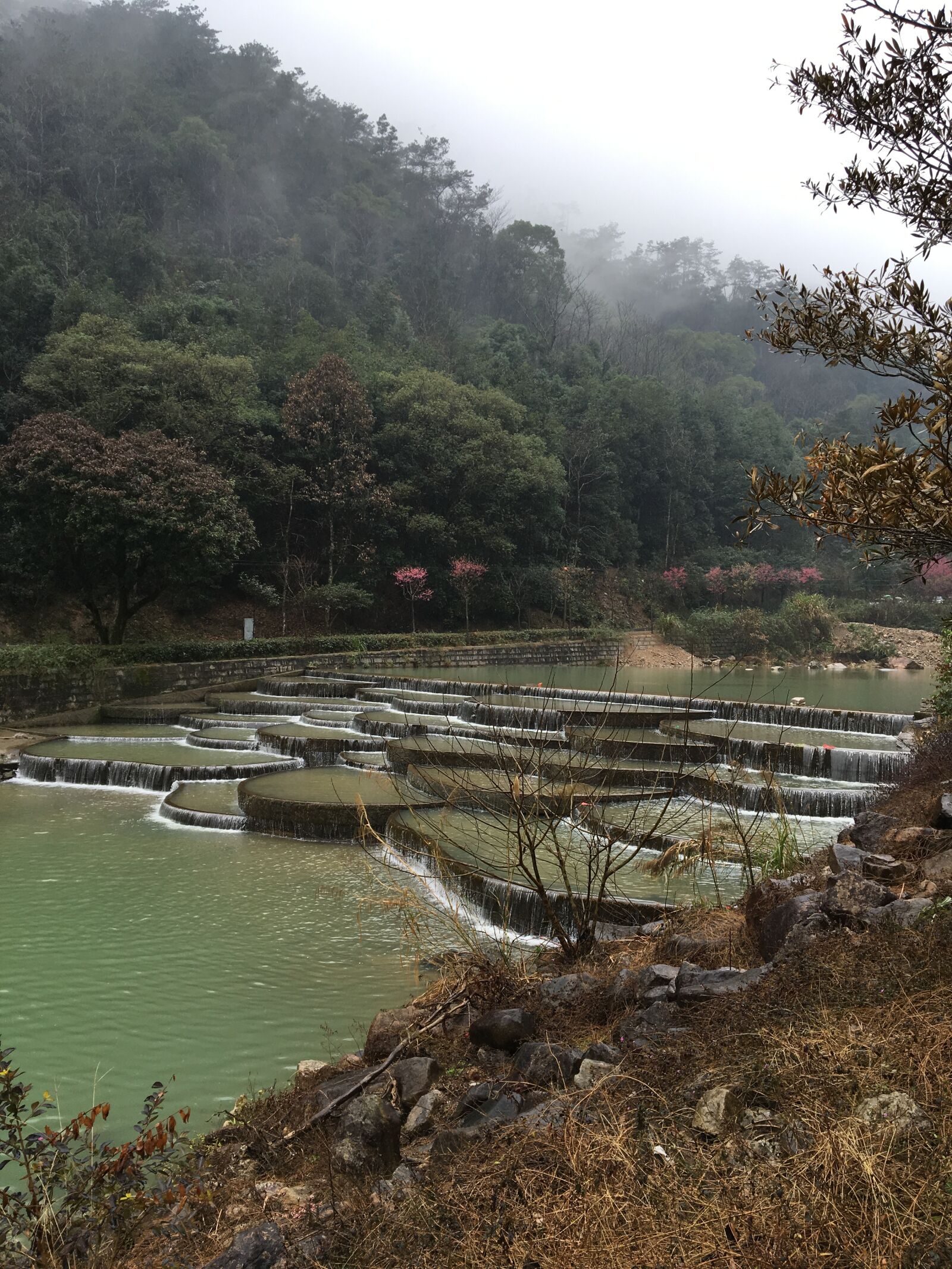 Apple iPhone 6s sample photo. Fuzhou, forest park, heavy photography