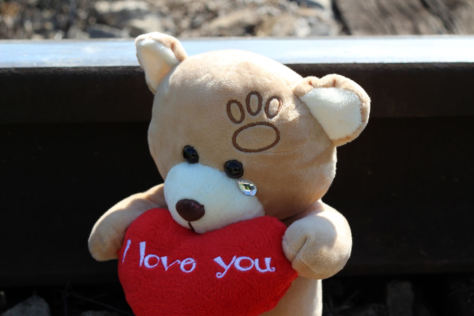 Canon EOS 600D (Rebel EOS T3i / EOS Kiss X5) + Canon EF 50mm F1.8 II sample photo. Stop child suicide, teddy photography