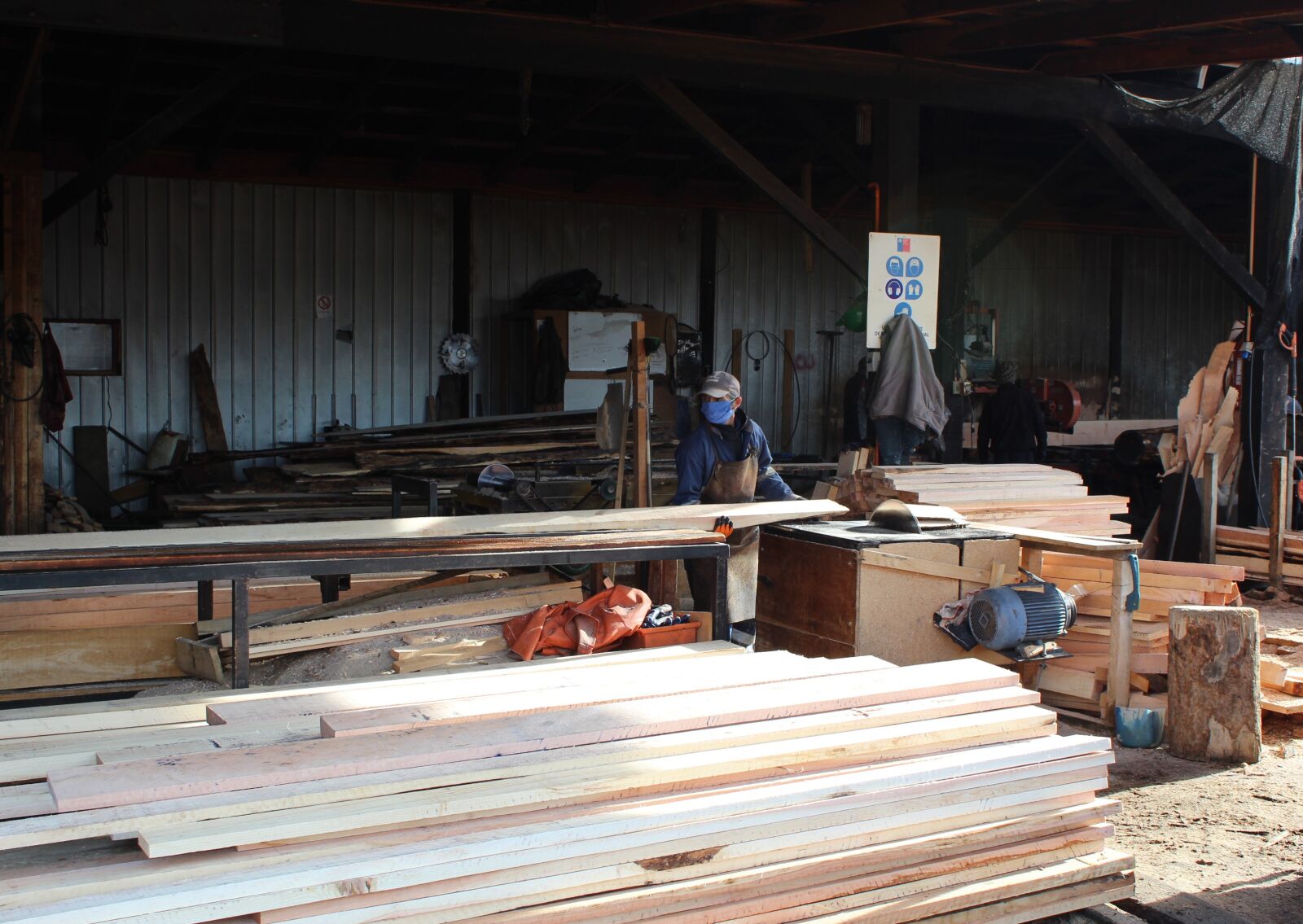 Canon EOS 1300D (EOS Rebel T6 / EOS Kiss X80) sample photo. Wood, sawmill, topping photography