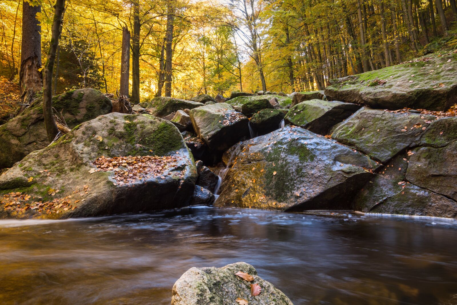 Tokina AT-X 16-28mm F2.8 Pro FX sample photo. Fall foliage, ilse, long photography
