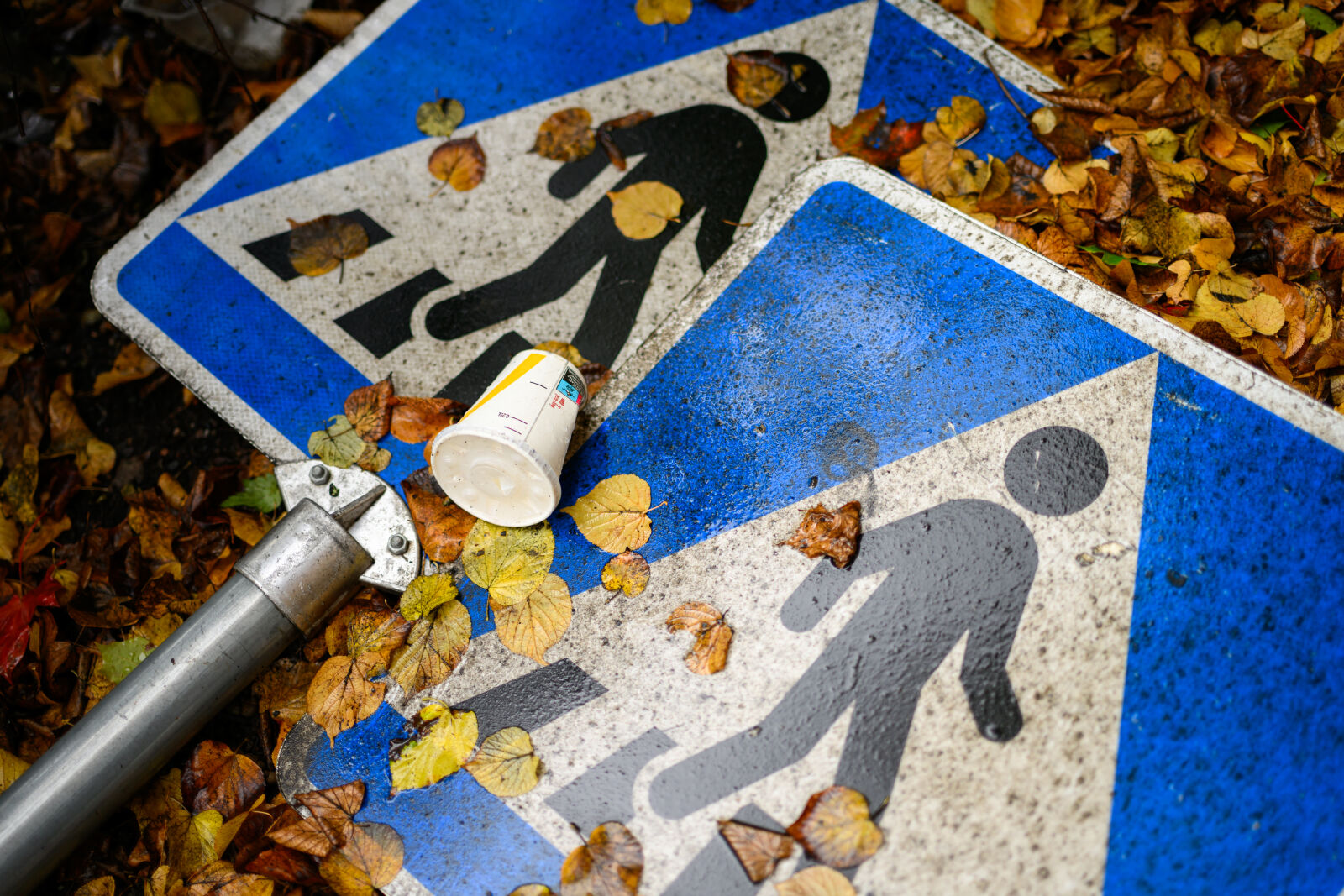 Nikon Z8 sample photo. Pedestrian fall photography