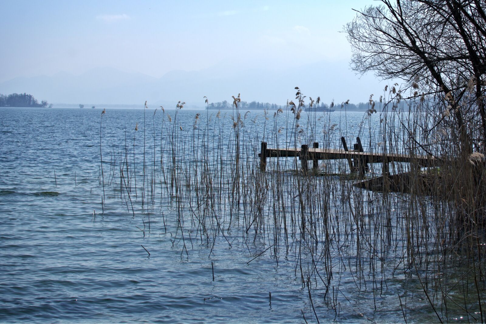 Nikon D7100 sample photo. Bank, lake, reed photography