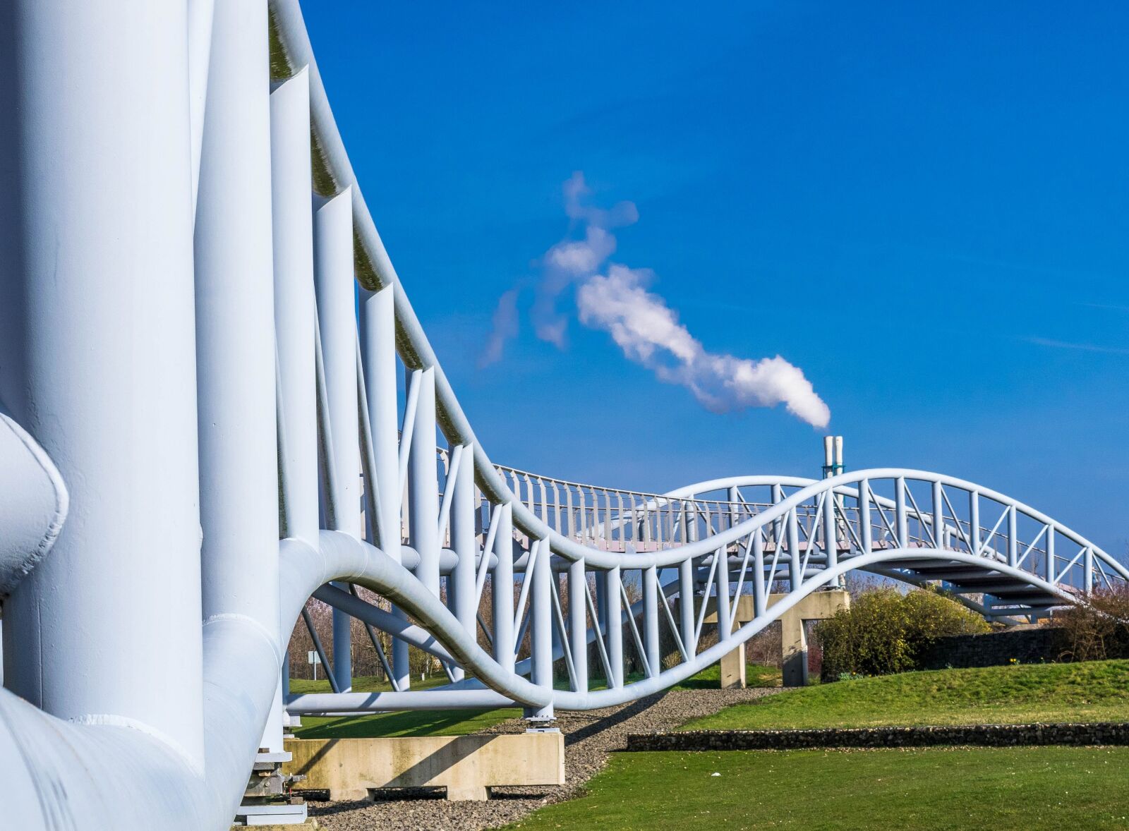 Nikon D3300 sample photo. Bridge, snake, curves photography