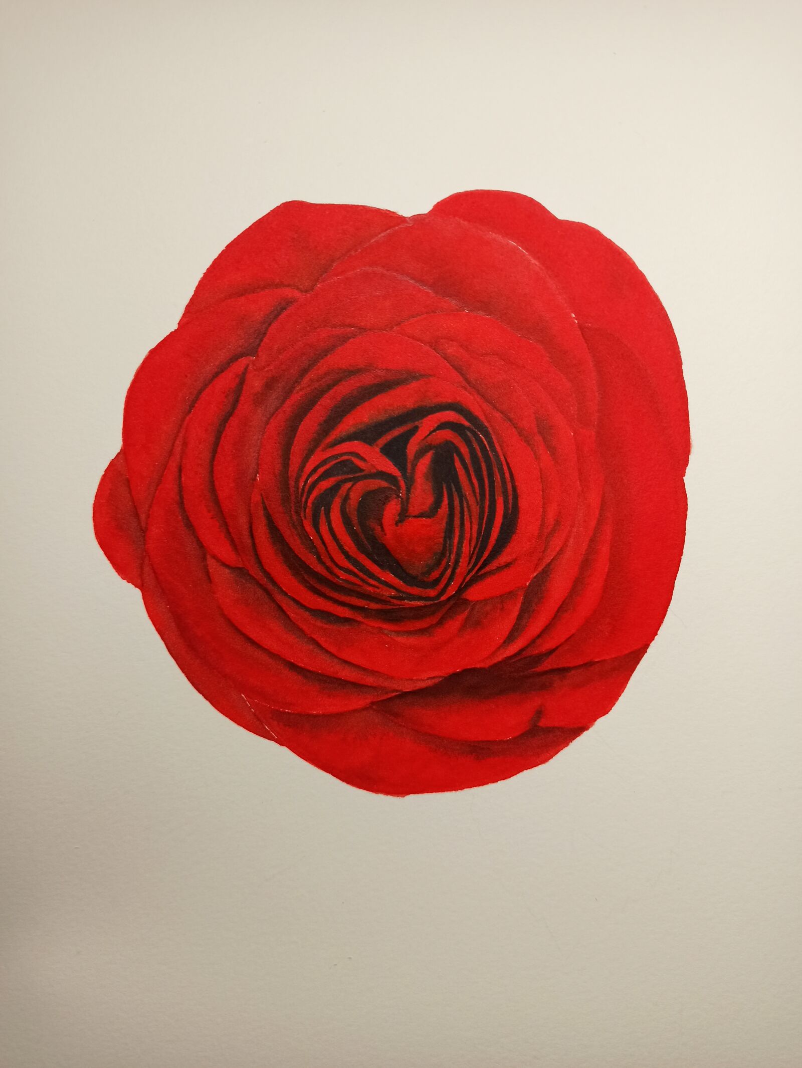 Xiaomi Redmi Note 8 Pro sample photo. Watercolor, red rose, flower photography