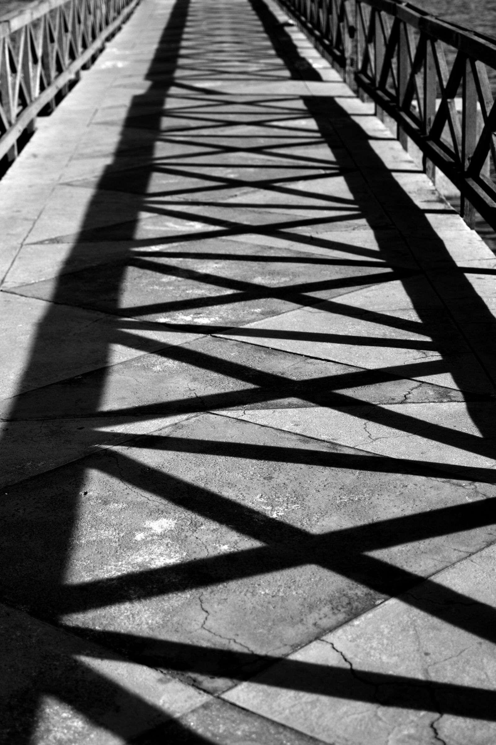 Nikon D5500 sample photo. Texture, abstract, structure photography