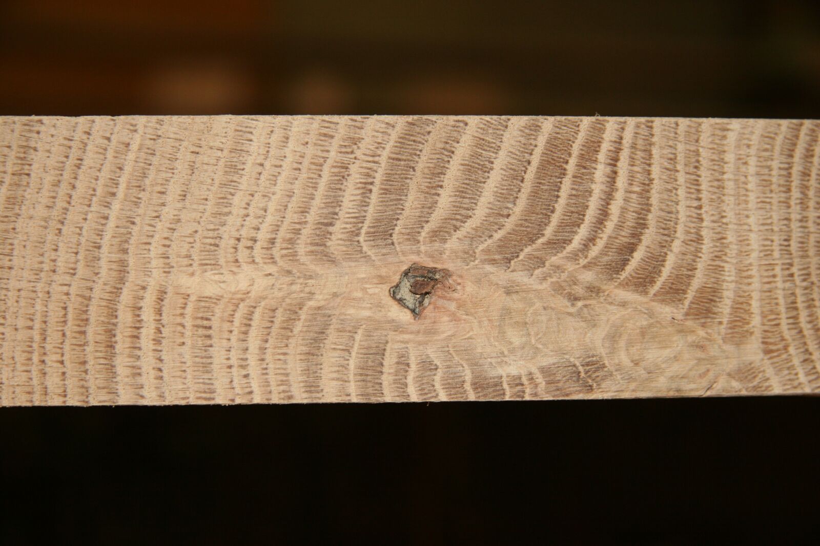 Canon EOS 20D sample photo. Timber, texture, surface photography