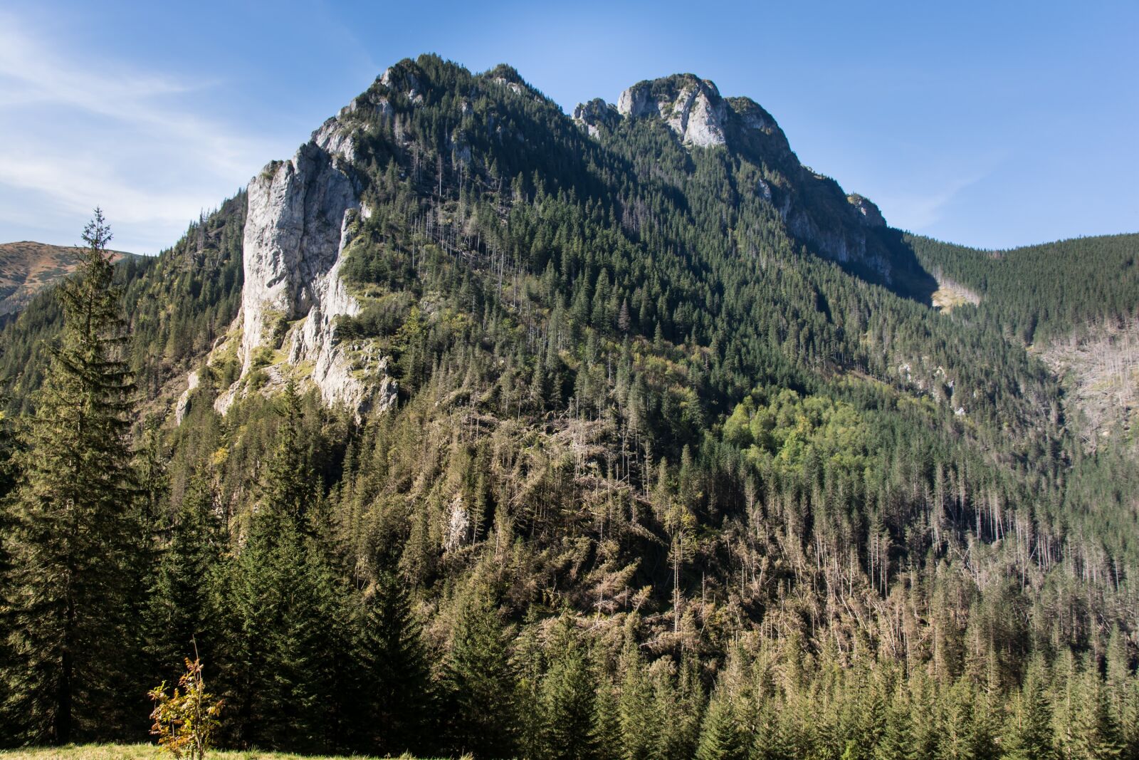 Nikon D7100 sample photo. Tatry, ko cieliska valley photography