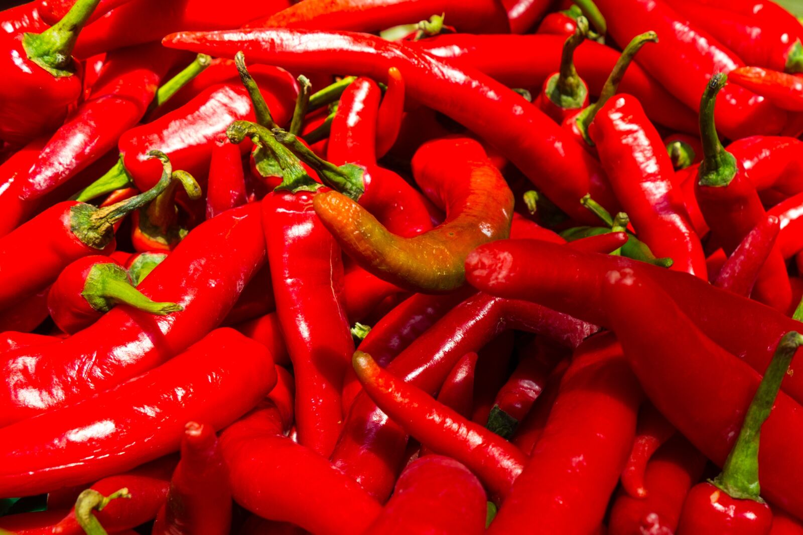 Sony Cyber-shot DSC-RX100 sample photo. Red, shiny, spicy photography