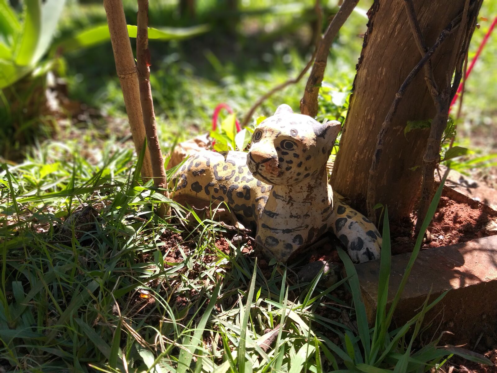 Samsung Galaxy J8 sample photo. Animais, onça, pintada photography