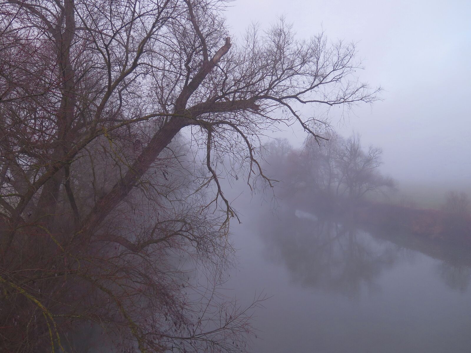 Canon PowerShot G16 sample photo. Fog, river floodplain, autumn photography