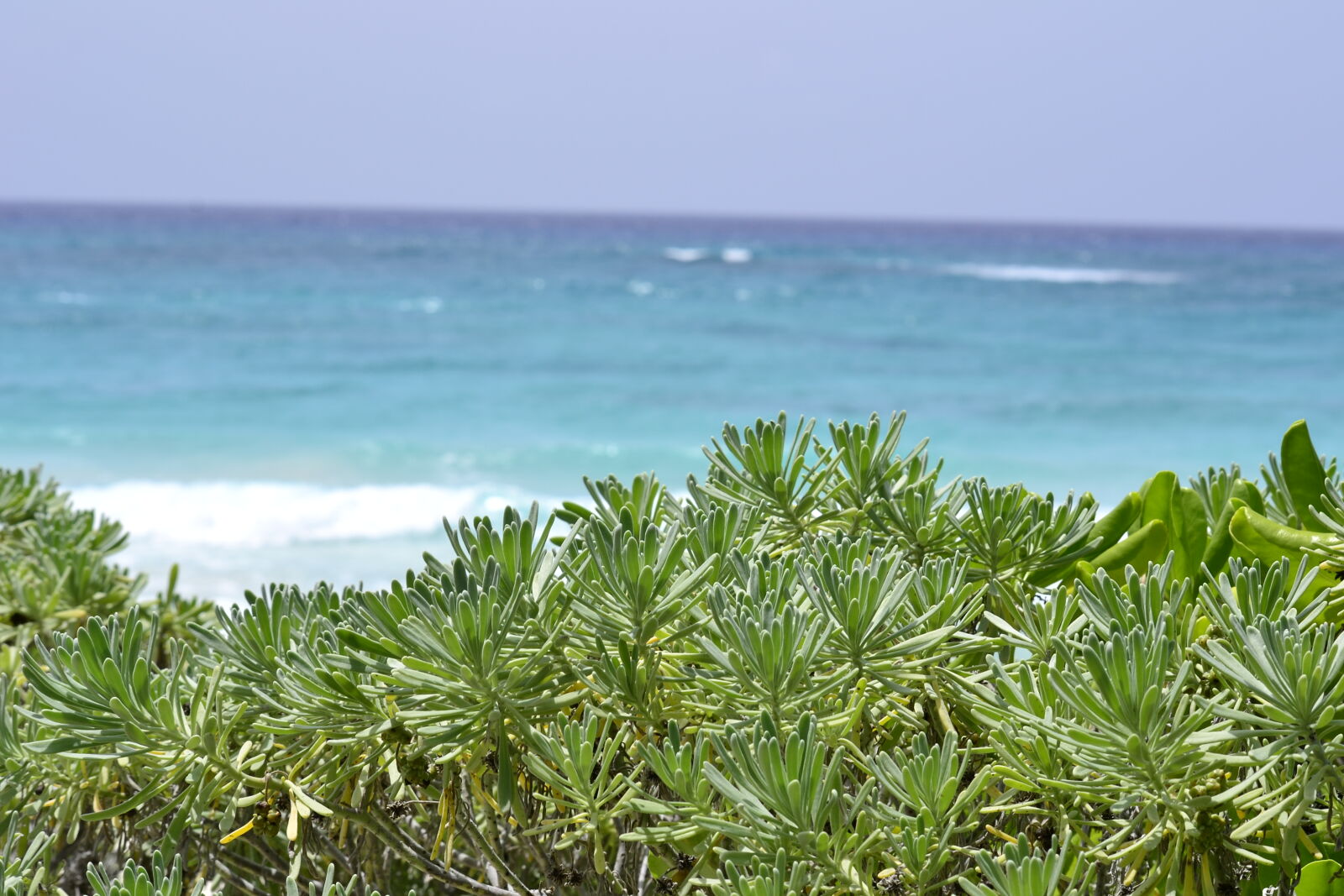 Nikon D3100 sample photo. Beach, blue, caribbean, sea photography