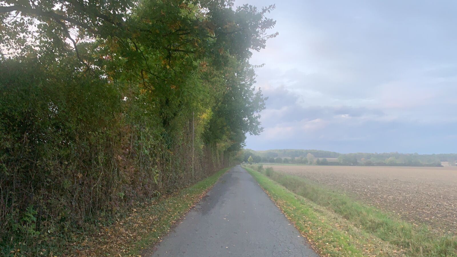 Apple iPhone XS Max + iPhone XS Max back camera 4.25mm f/1.8 sample photo. Road, germany, tree photography
