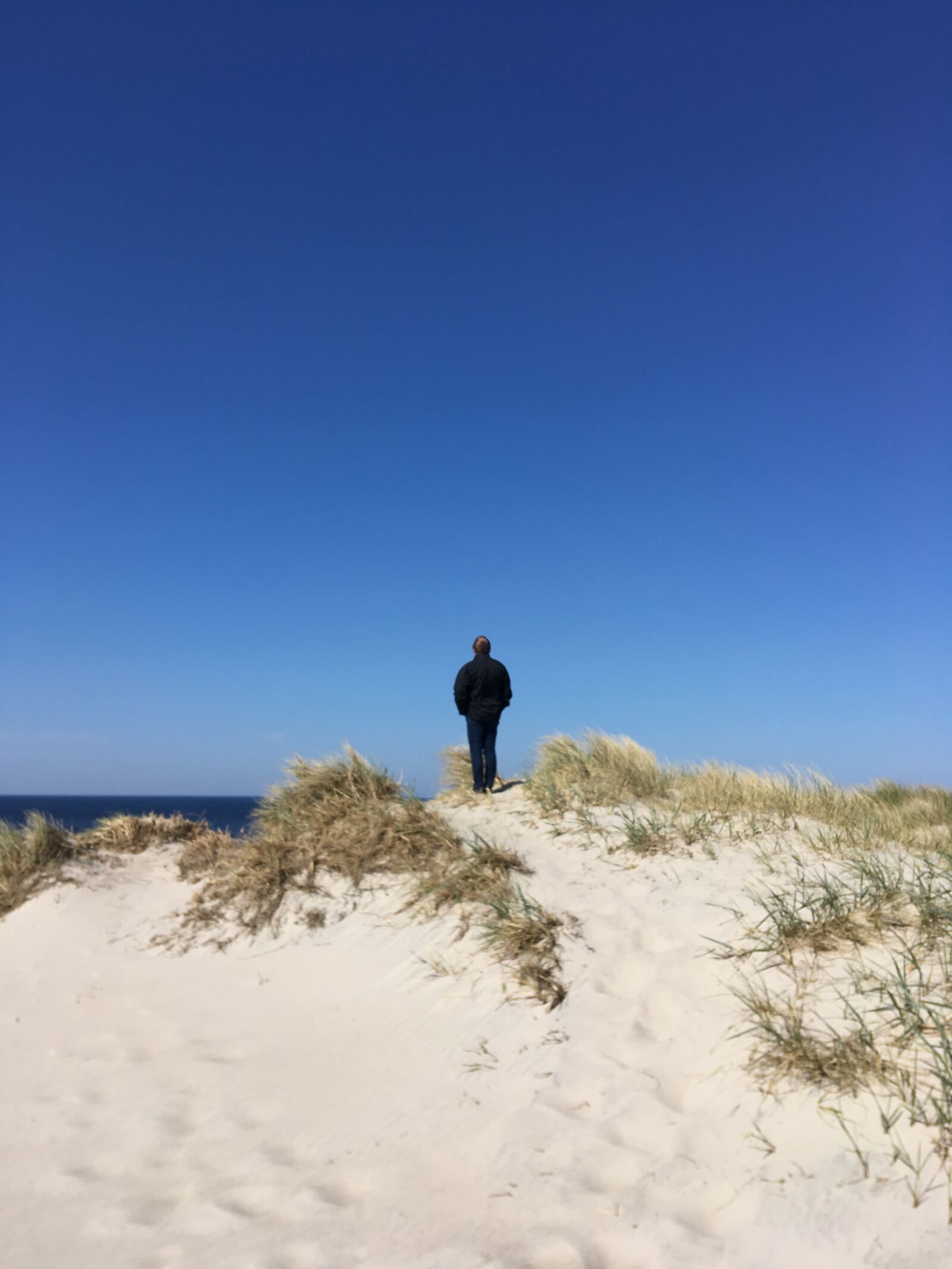 iPhone SE back camera 4.15mm f/2.2 sample photo. Beach, dune, natural photography