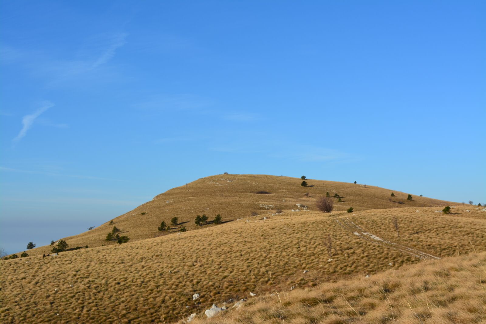 Nikon D5200 sample photo. Mountain, green, grass photography