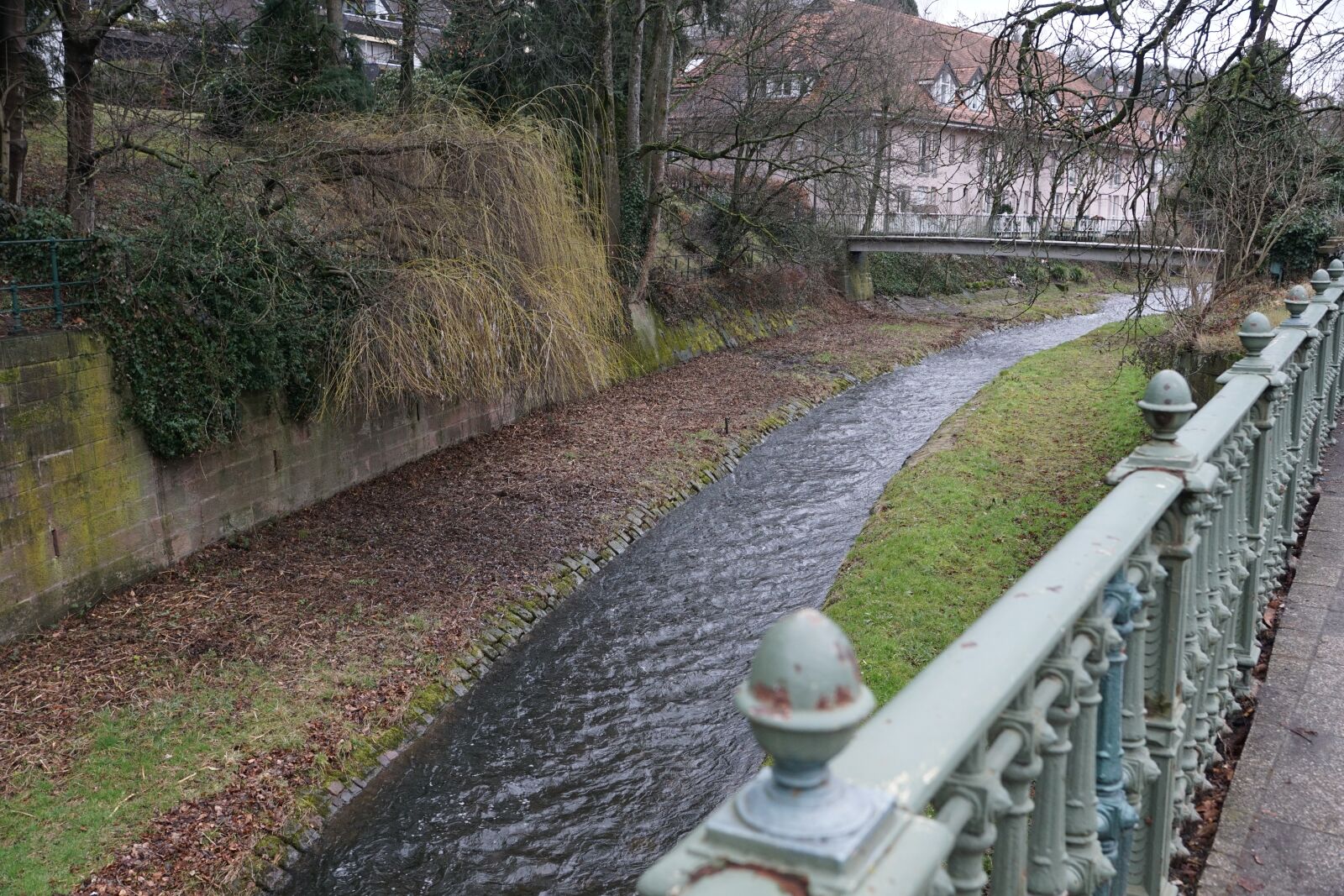 Sony ILCA-77M2 + Sony DT 16-50mm F2.8 SSM sample photo. Baden baden, park, nature photography