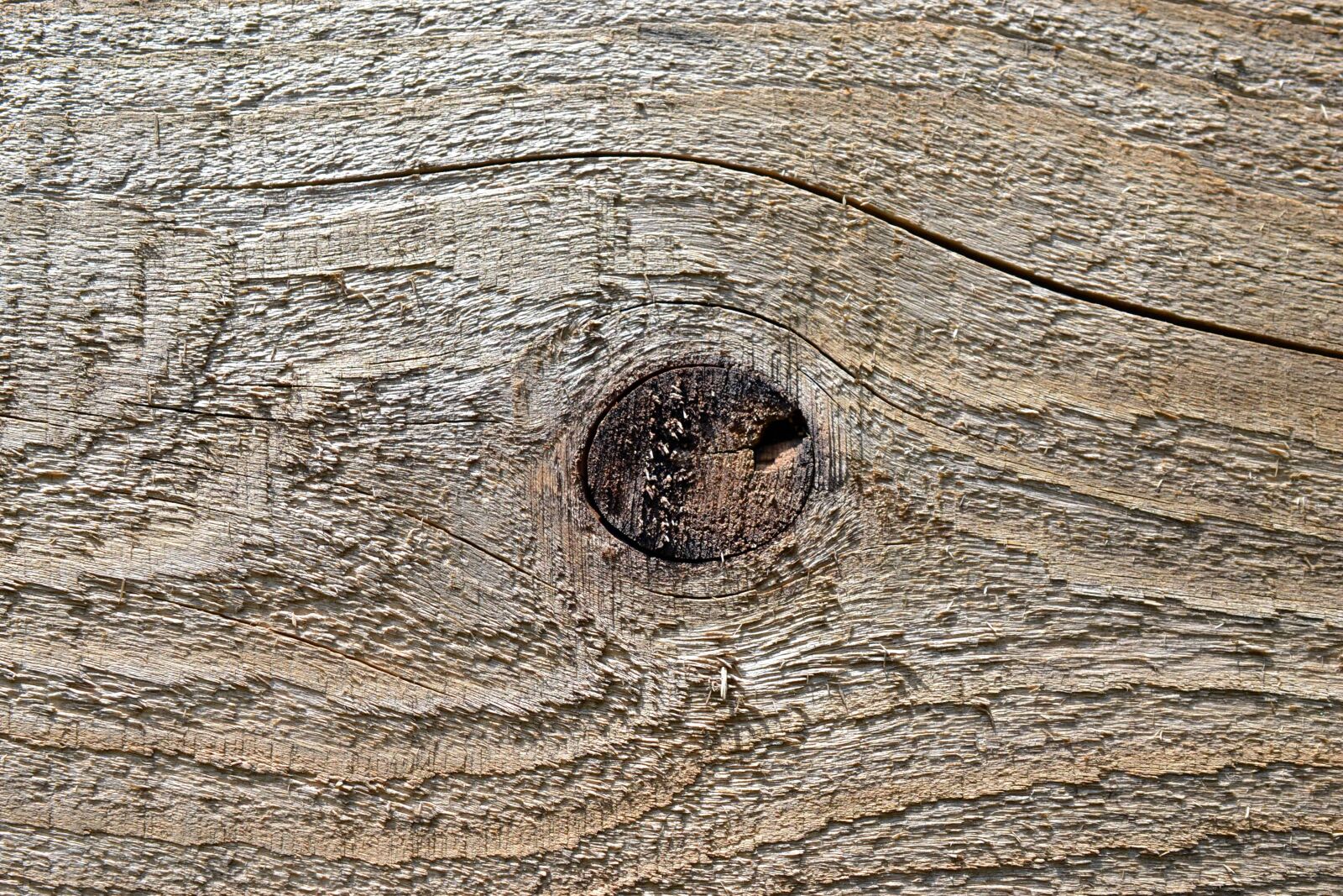 Nikon D3100 sample photo. Wood knot, pattern, old photography