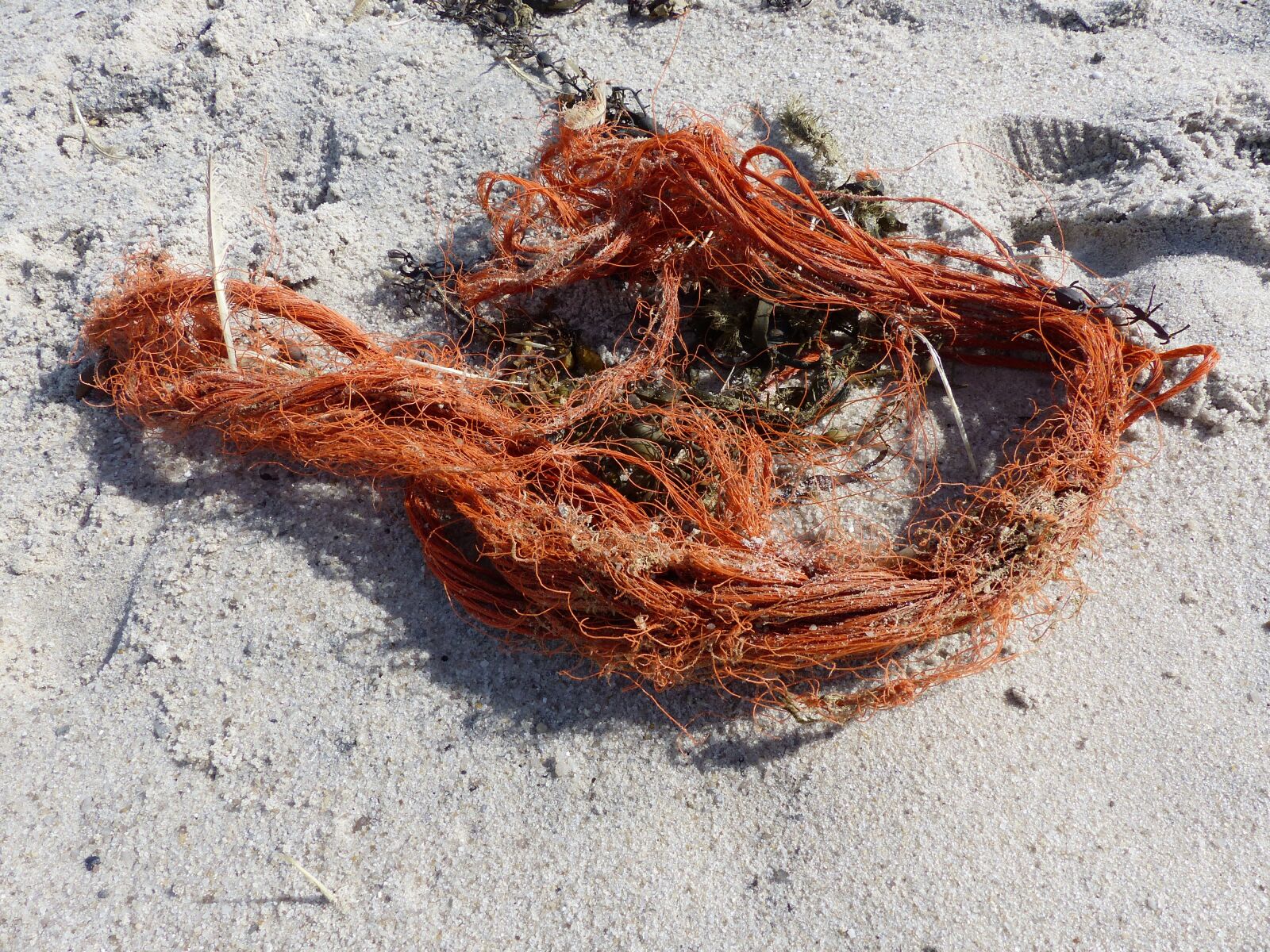 Panasonic Lumix DMC-FZ200 sample photo. Flotsam, rope, sand photography