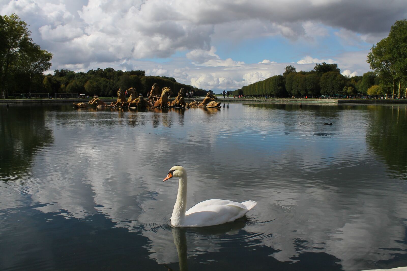 Canon EOS 1100D (EOS Rebel T3 / EOS Kiss X50) sample photo. Swan, lake, france photography