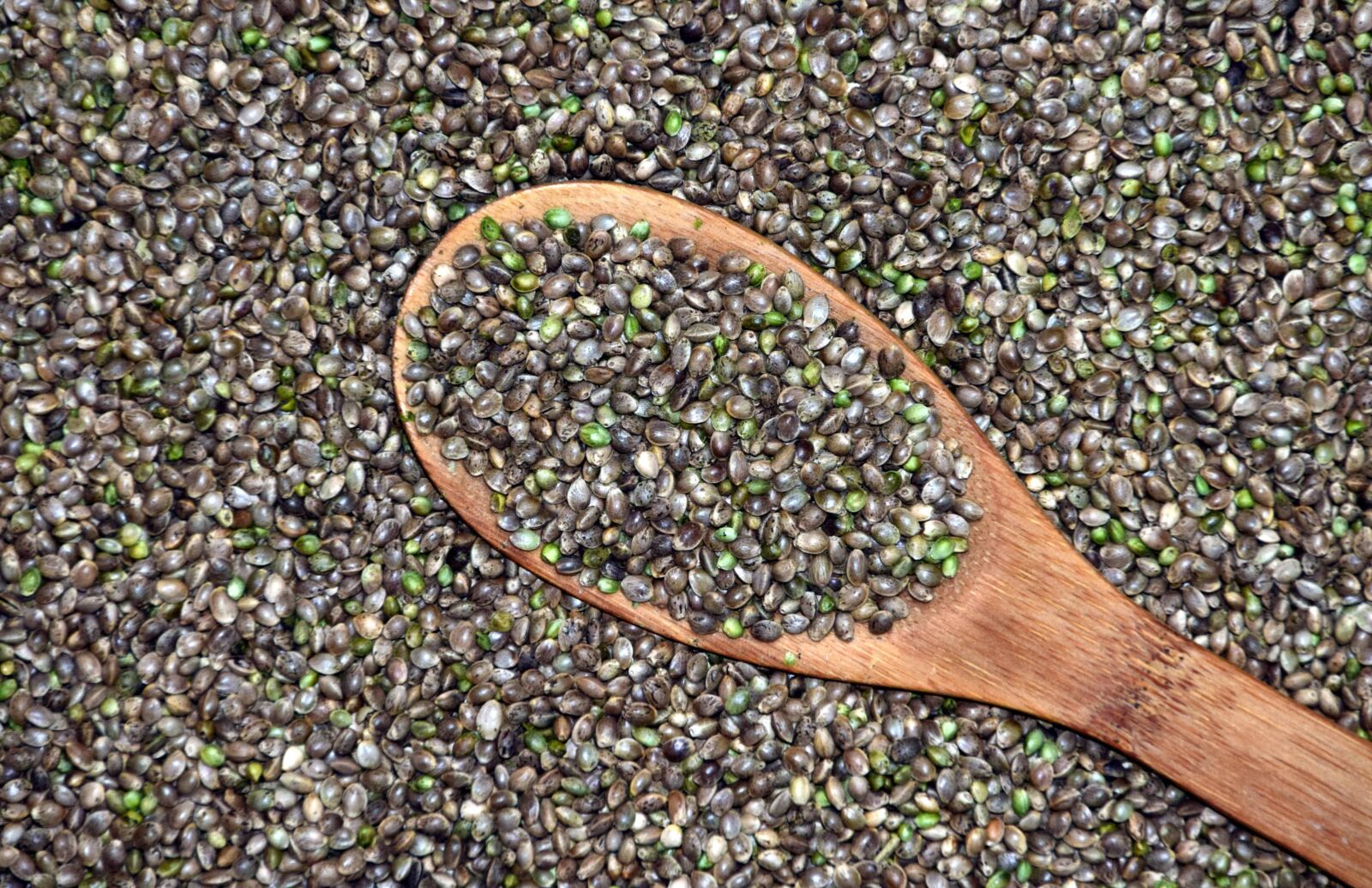 Nikon D3300 sample photo. Nature, food, texture, dry photography