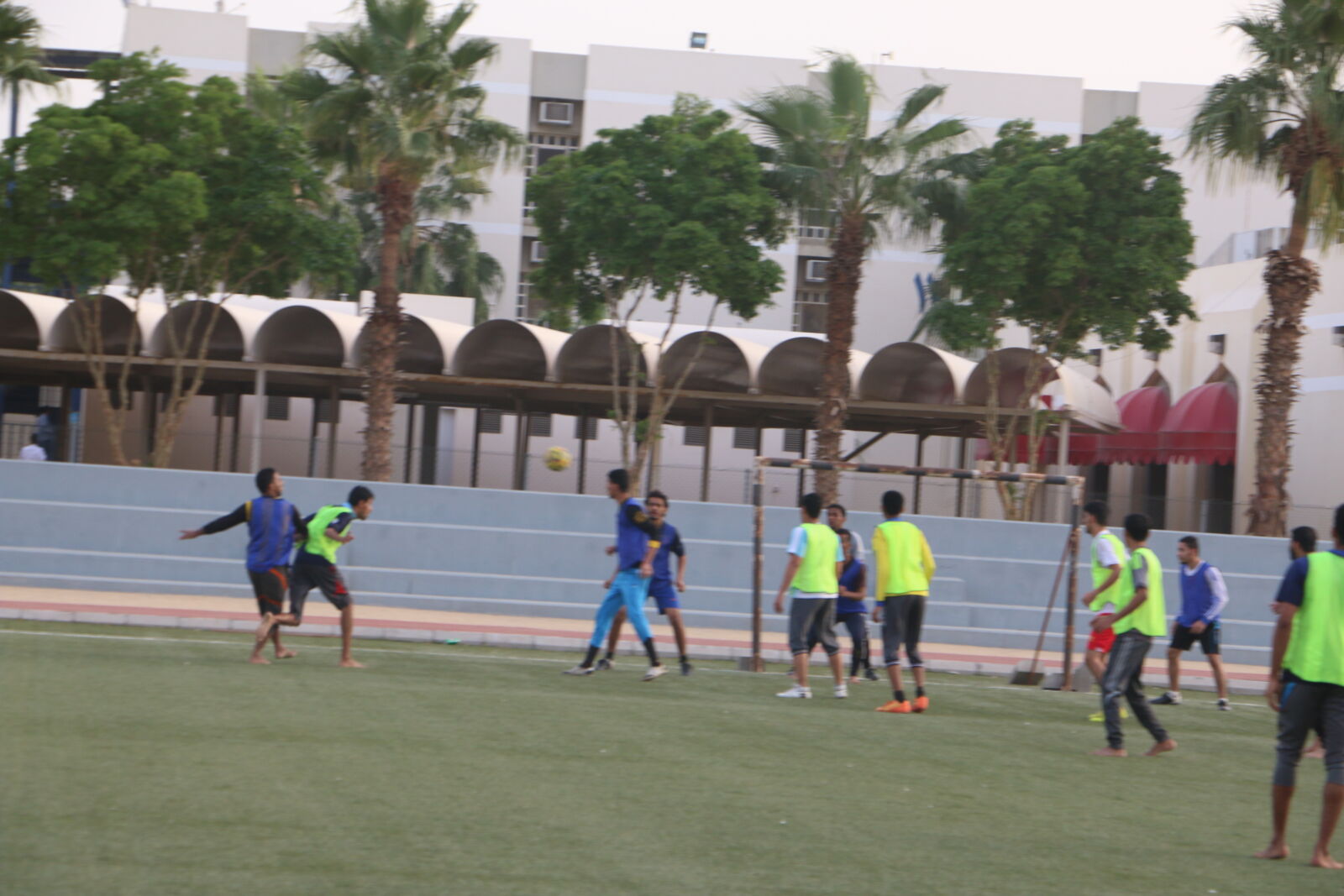 Canon EOS 70D sample photo