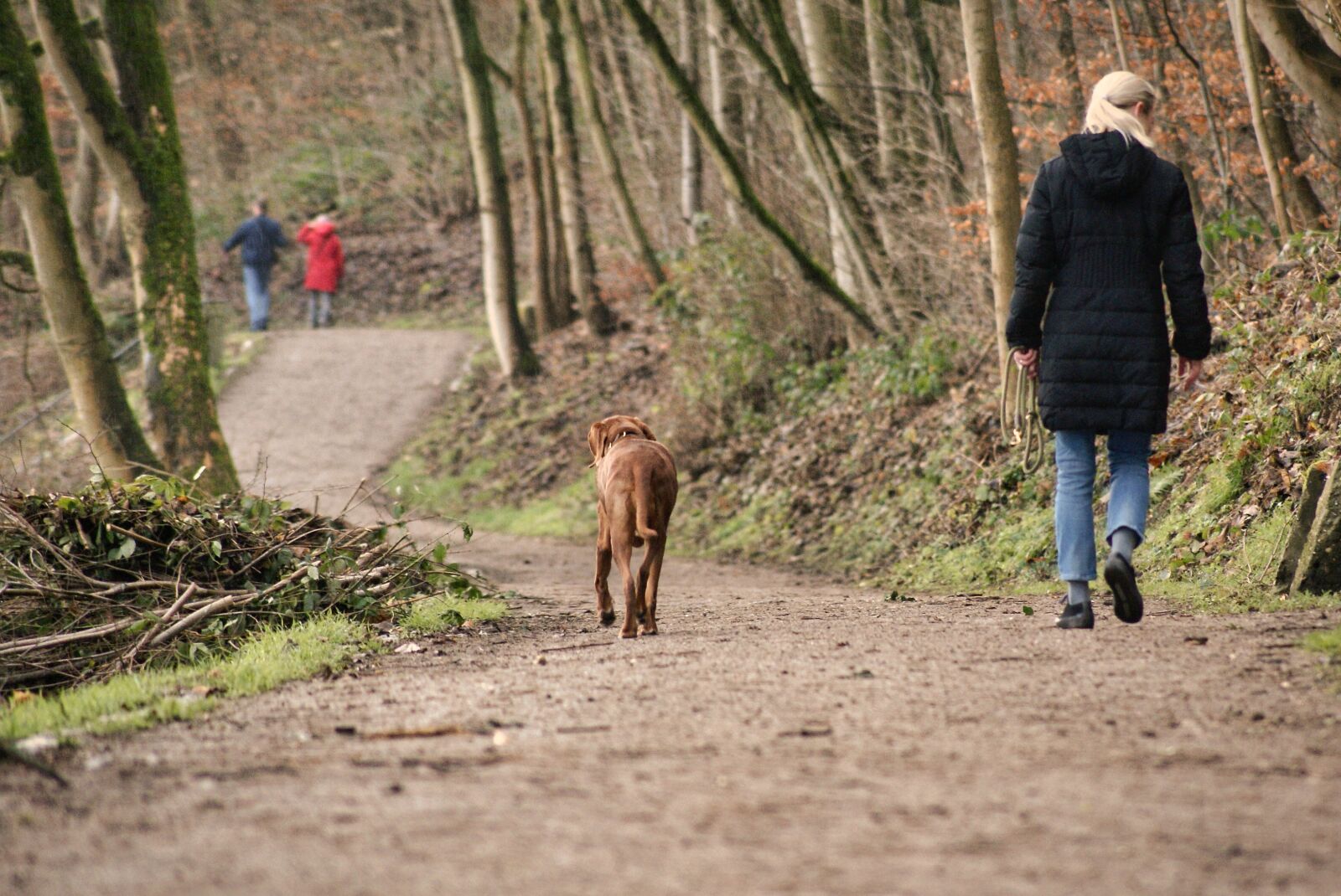 Sony Alpha DSLR-A200 sample photo. Dog, walk, animal photography