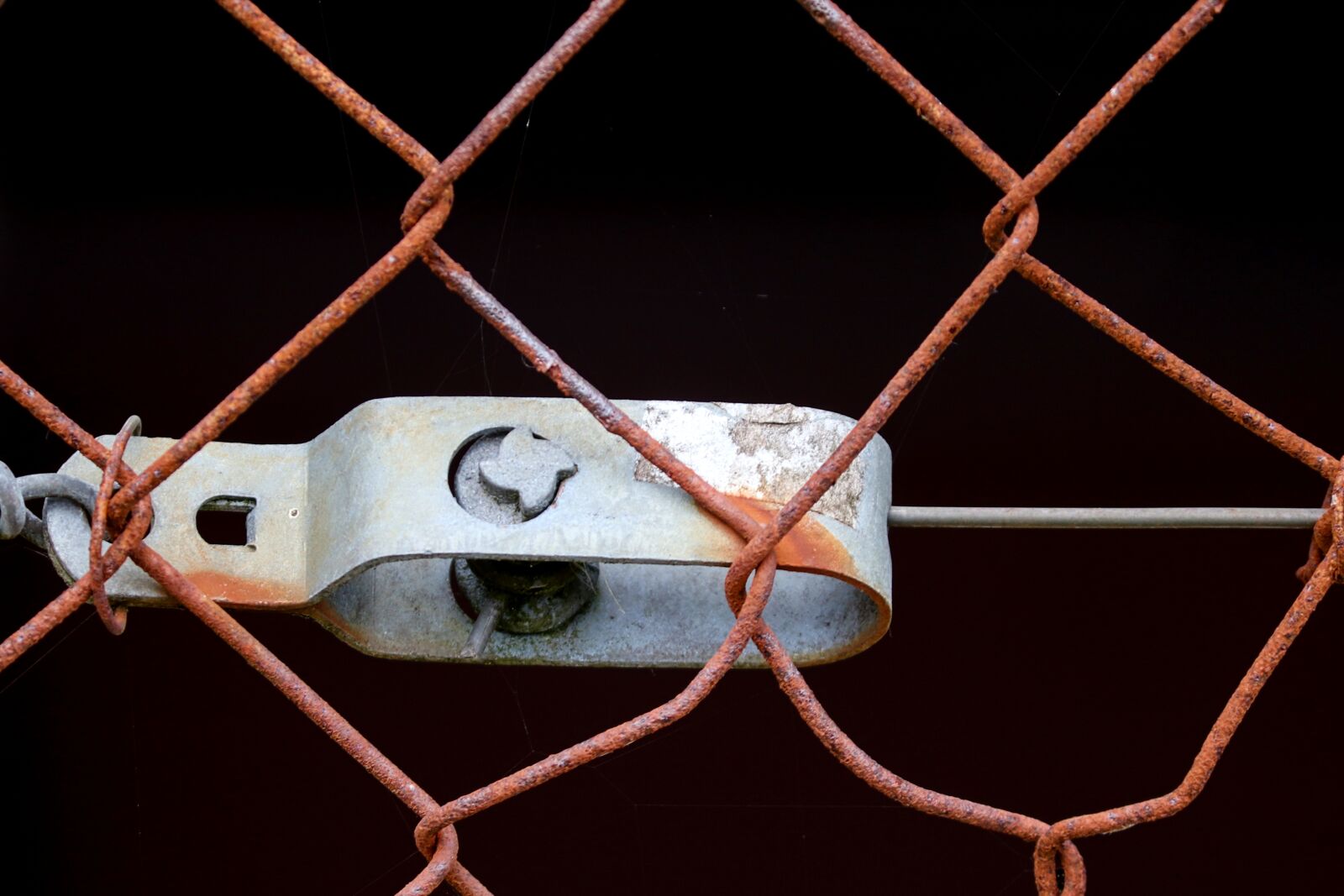 Canon EOS 200D (EOS Rebel SL2 / EOS Kiss X9) sample photo. Wire mesh fence, metal photography