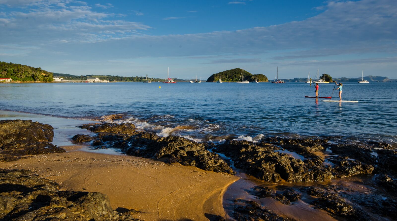 Nikon D7000 sample photo. New zealand, paihia, north photography