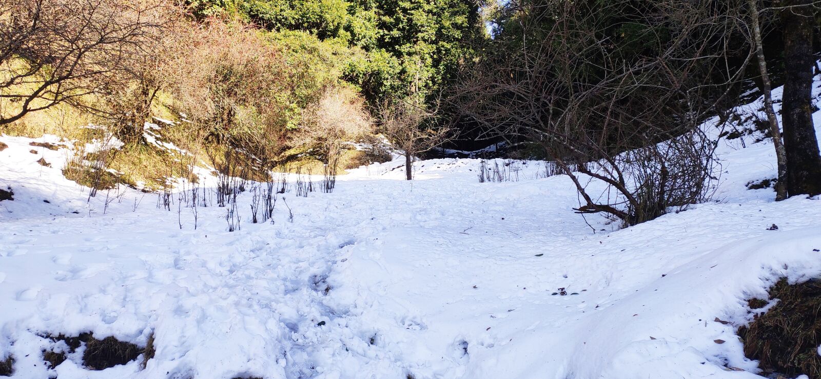 Xiaomi Redmi Note 7 Pro sample photo. Snow, snow sight, nainital photography