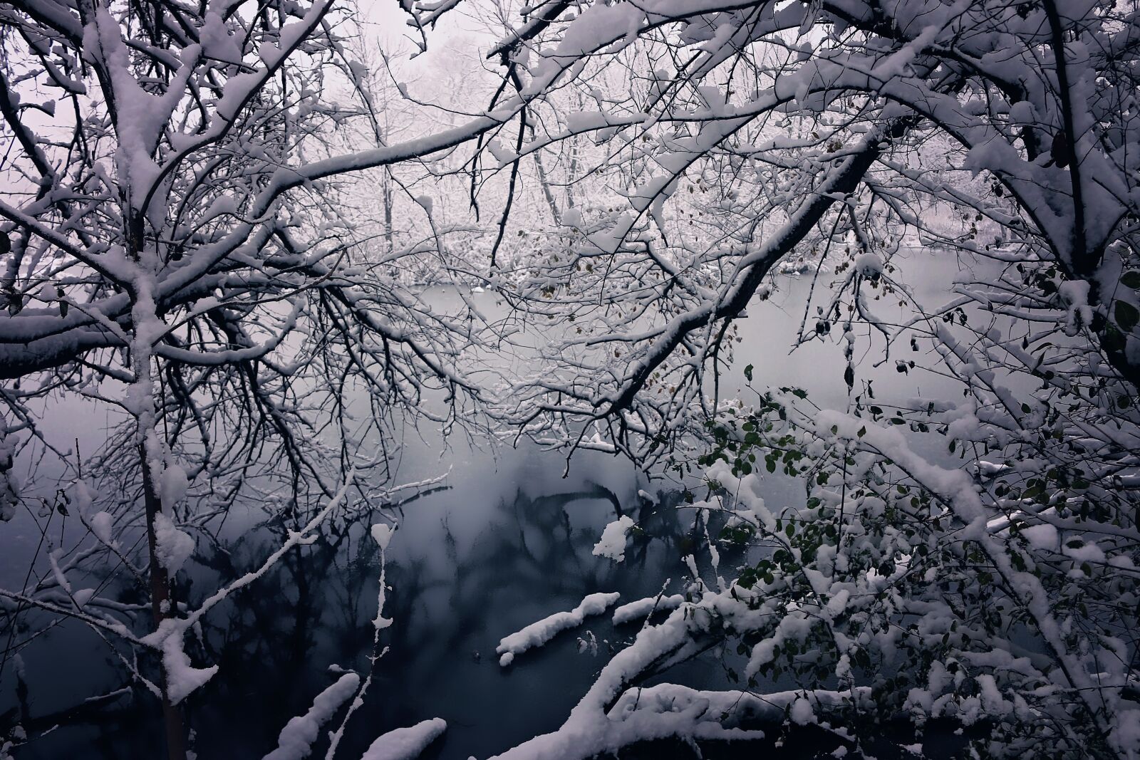 Canon EOS 70D sample photo. Winter, beauty, snow photography