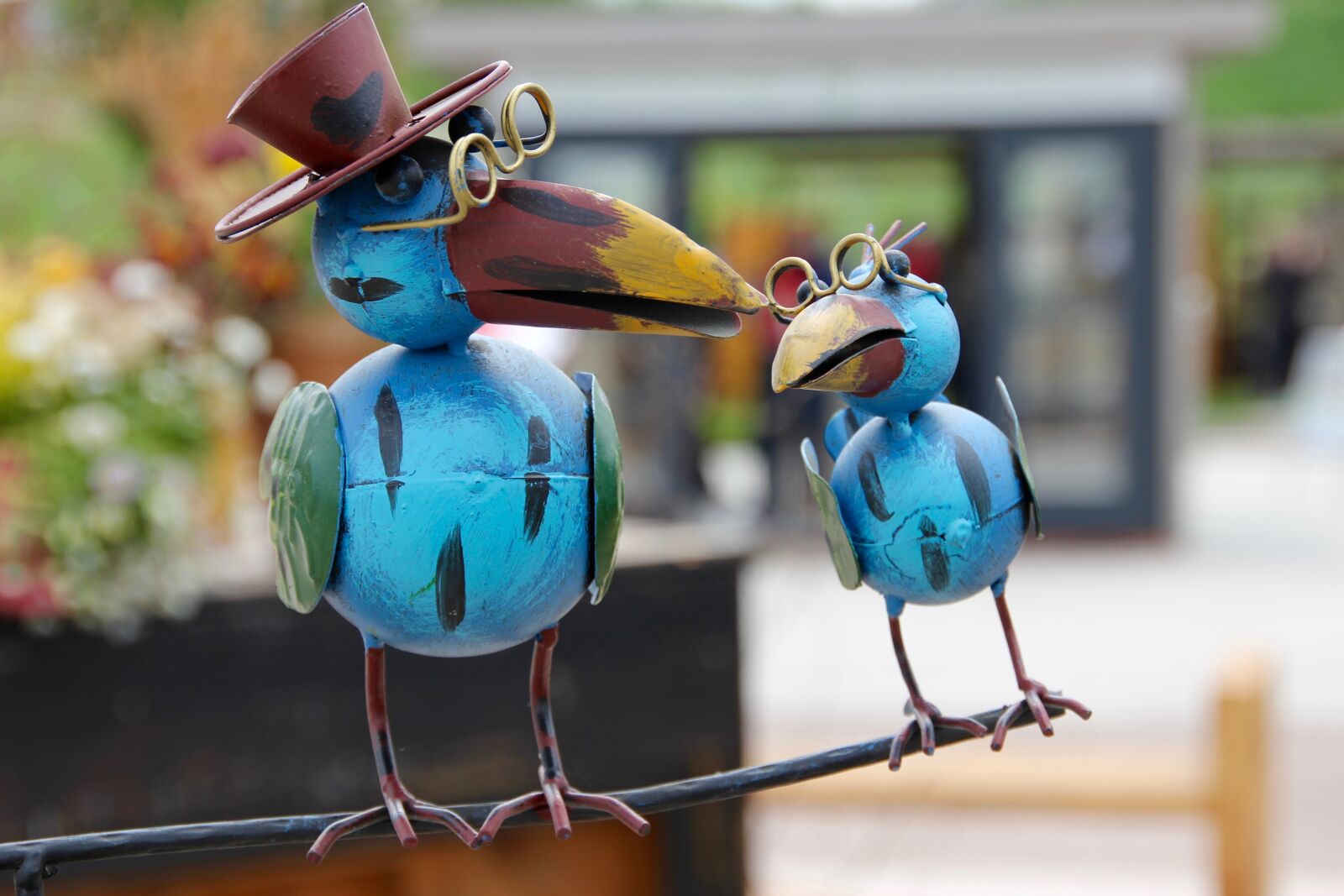 Canon EOS 60D sample photo. Bird, figure, glasses photography