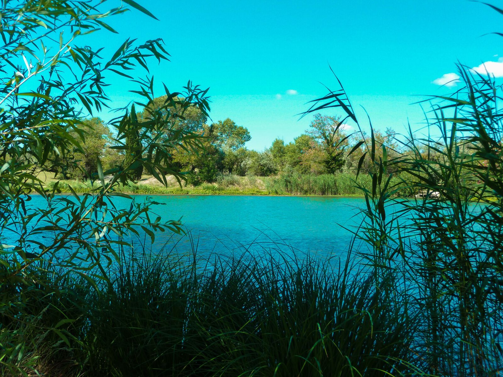 Panasonic Lumix DMC-ZS7 (Lumix DMC-TZ10) sample photo. Lake, vallabrègues, water photography