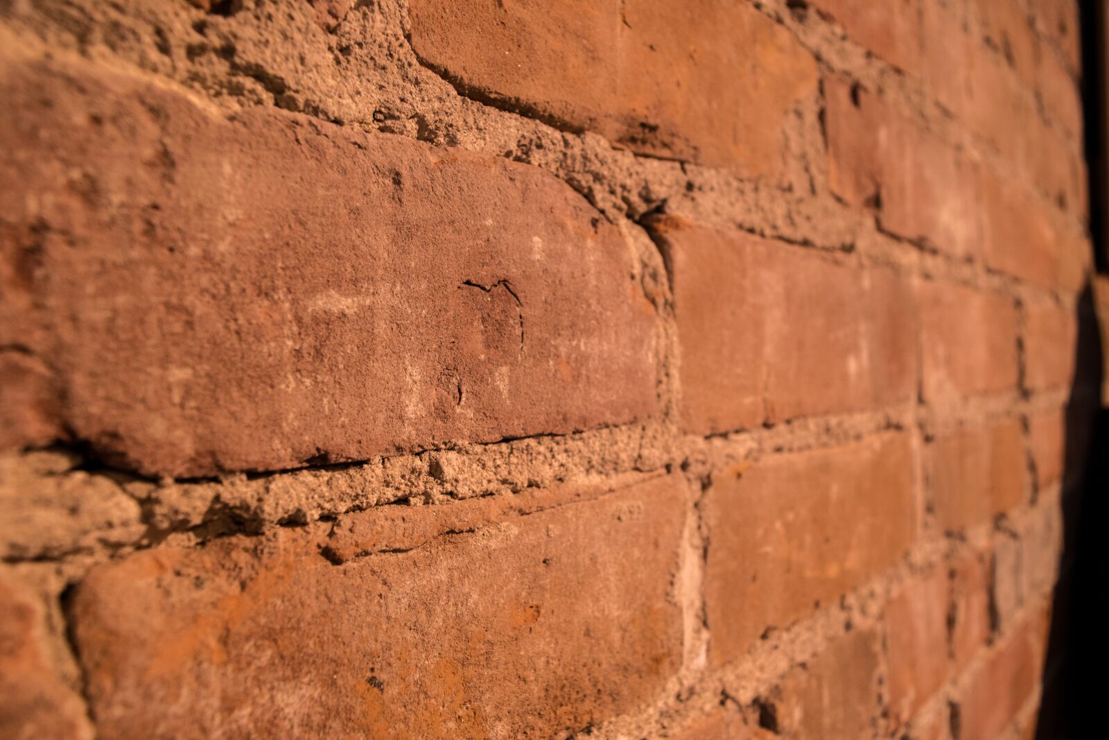 Nikon D3300 sample photo. Wall, nu, brick photography