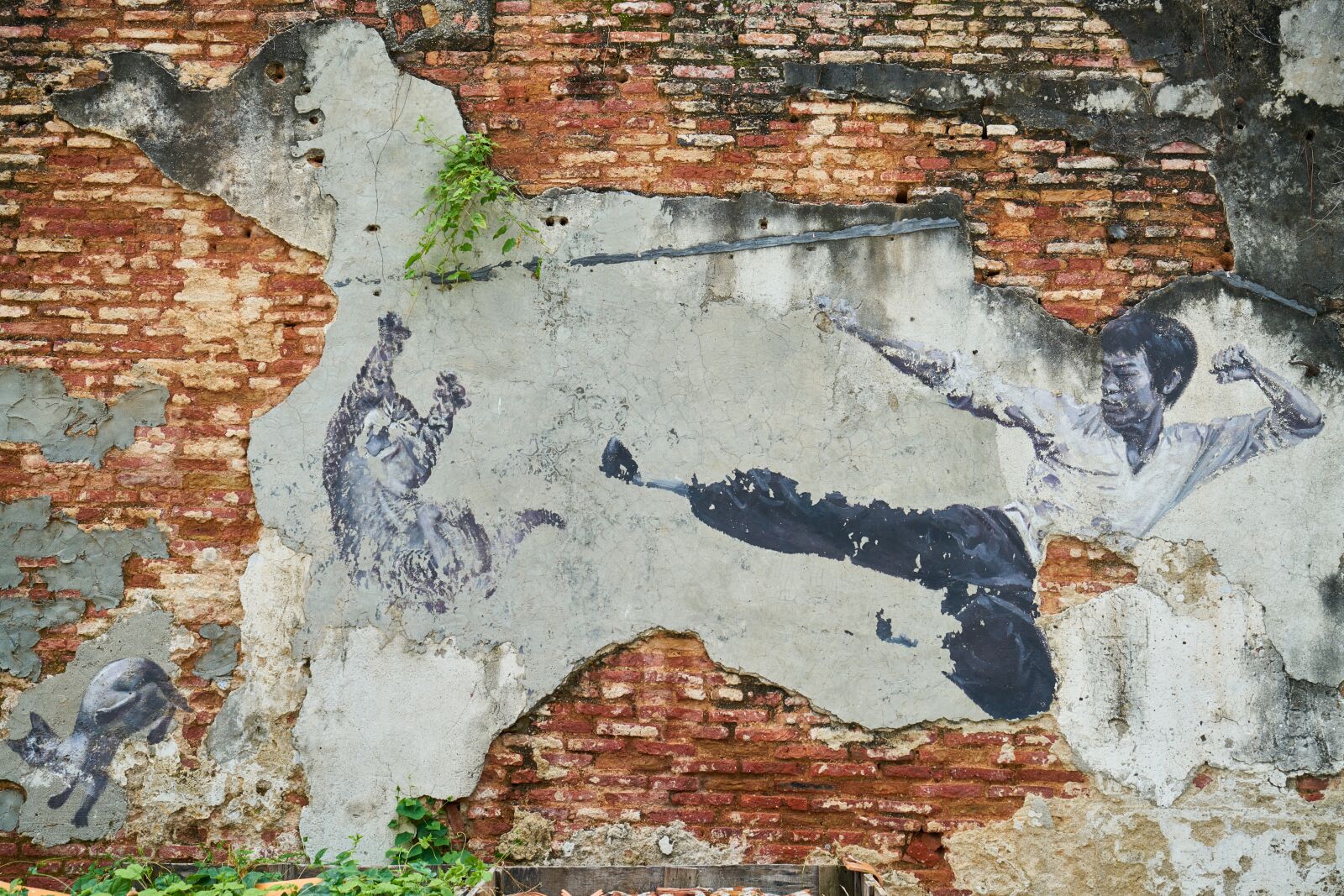 Sony a7R II sample photo. Graffiti, art, pictures photography