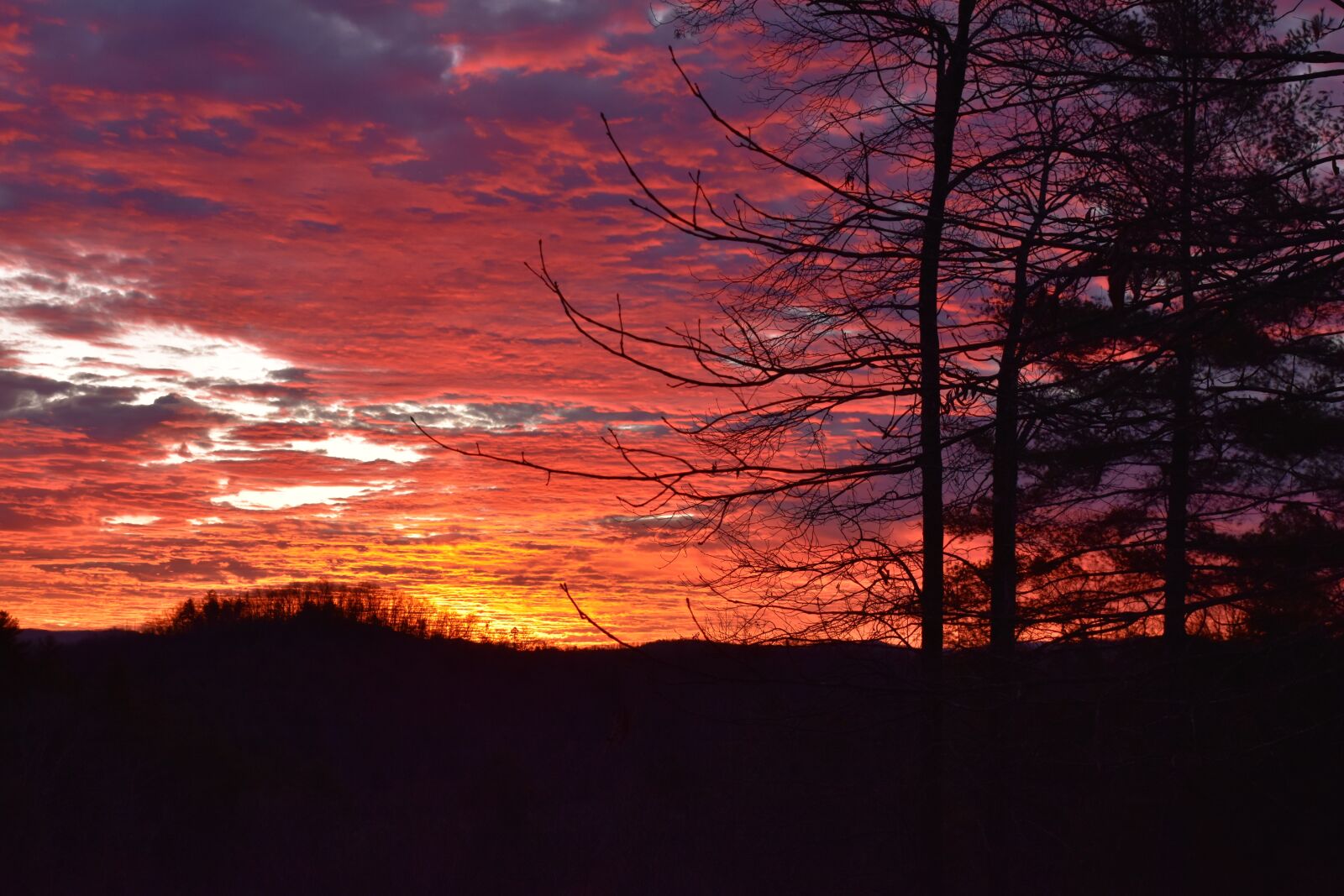 Nikon D7200 sample photo. Sunrise, forest, landscape photography
