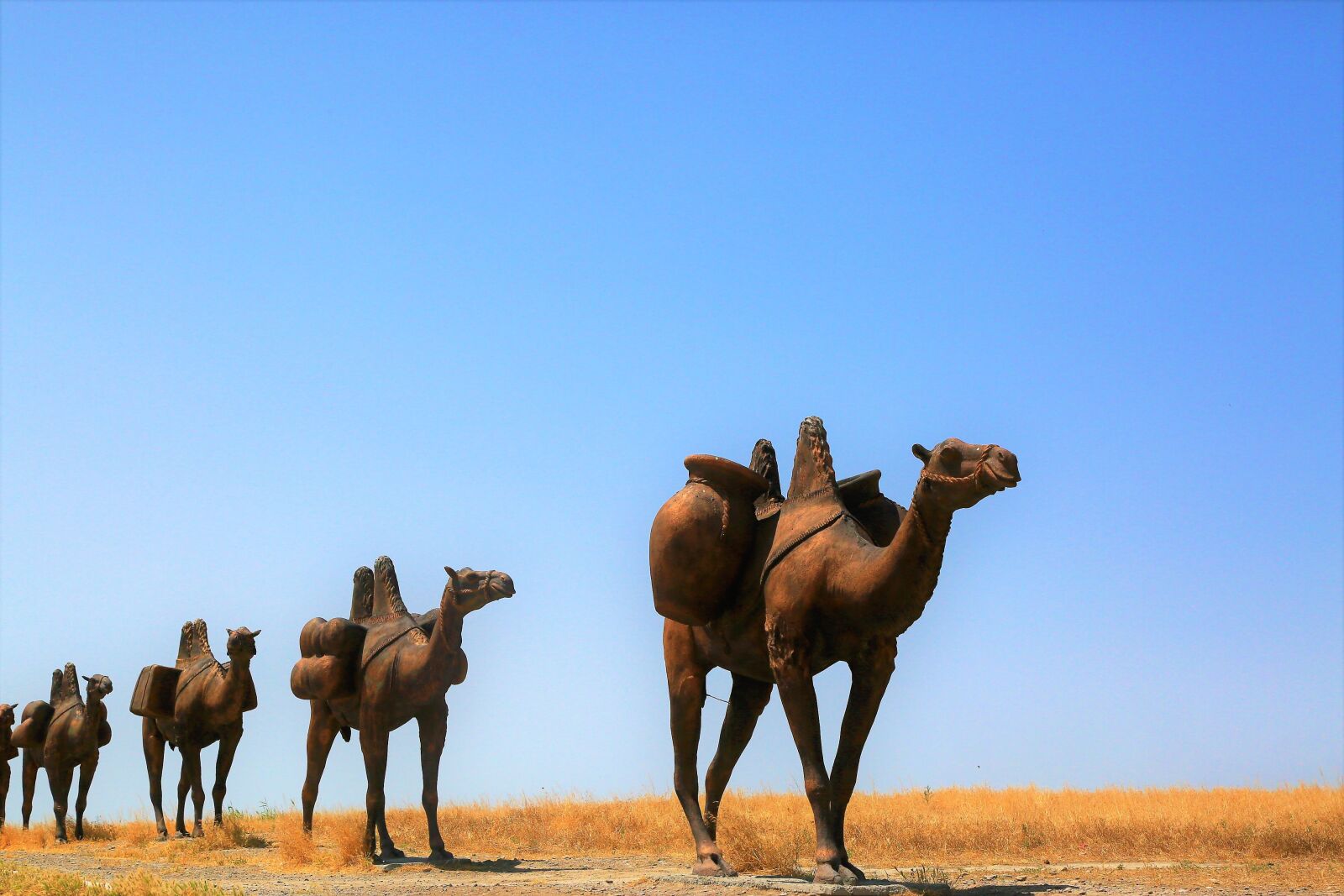 Canon EF 24-105mm F4L IS USM sample photo. Camel, caravan, desert photography