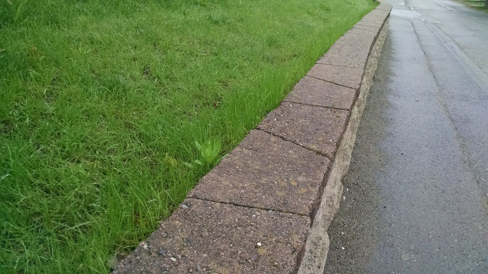 Motorola Moto X (1st Gen) sample photo. Grass, green, spring, stone photography