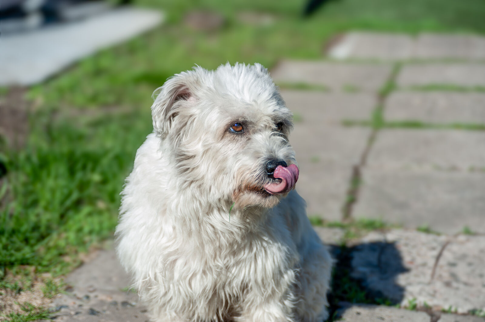 Nikon D700 sample photo