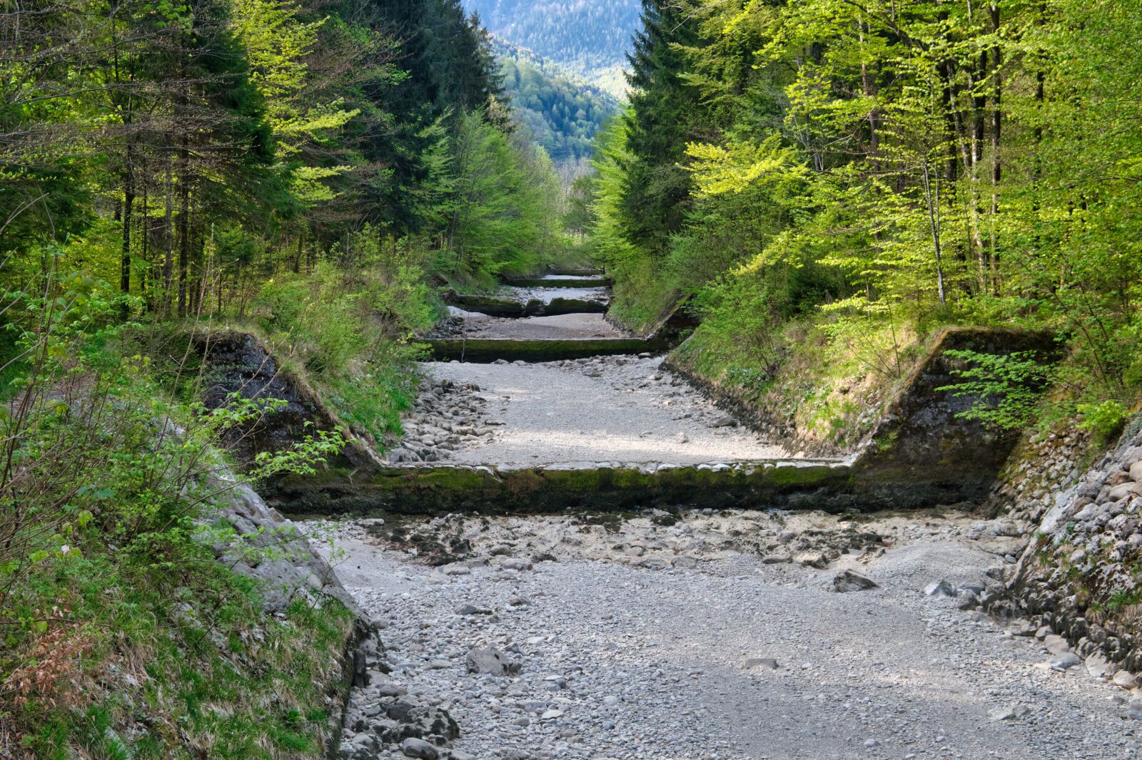 Nikon D7500 sample photo. Riverbed, water bed, stones photography