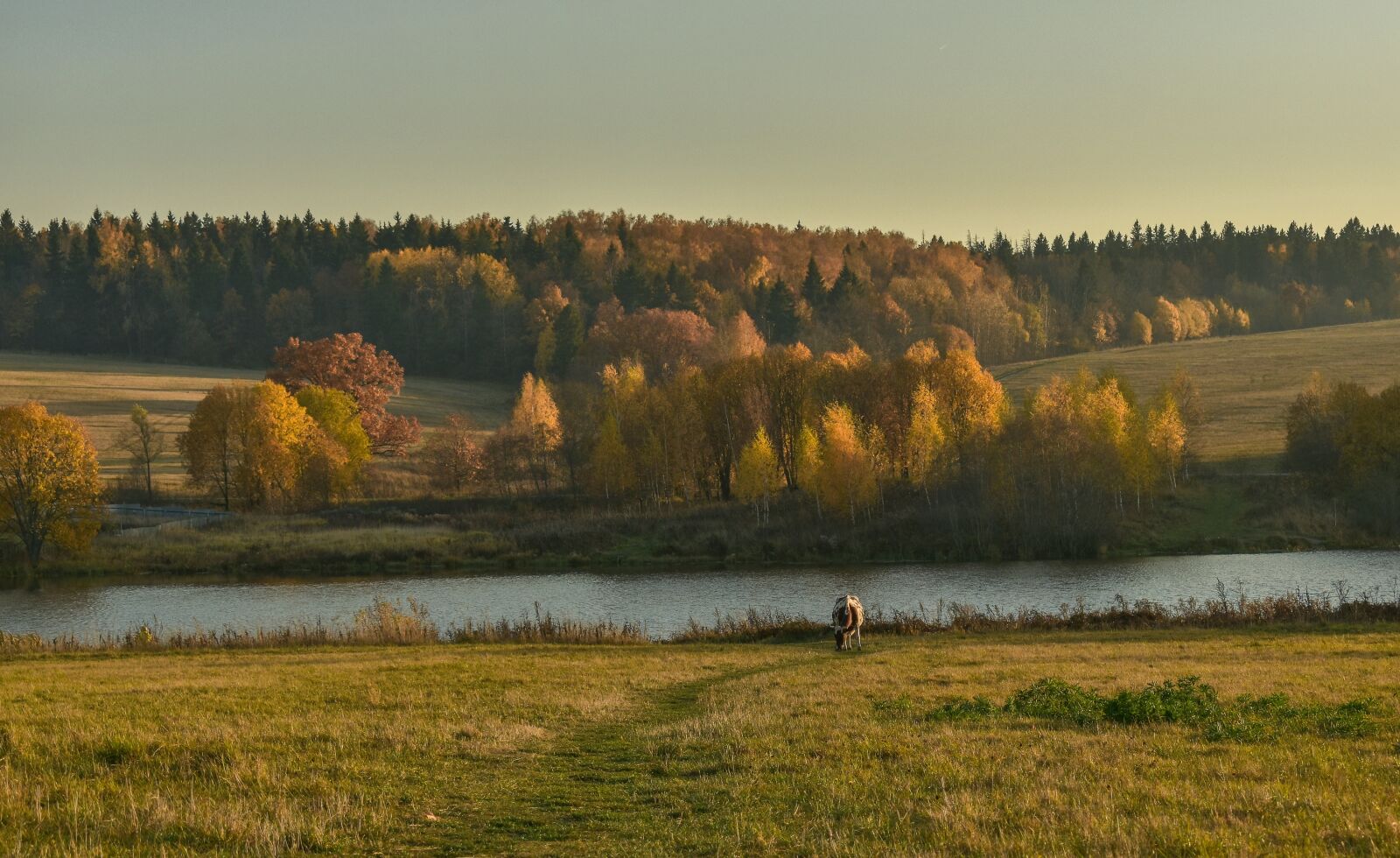 Nikon D5500 sample photo. Landscape, nature, sunset photography