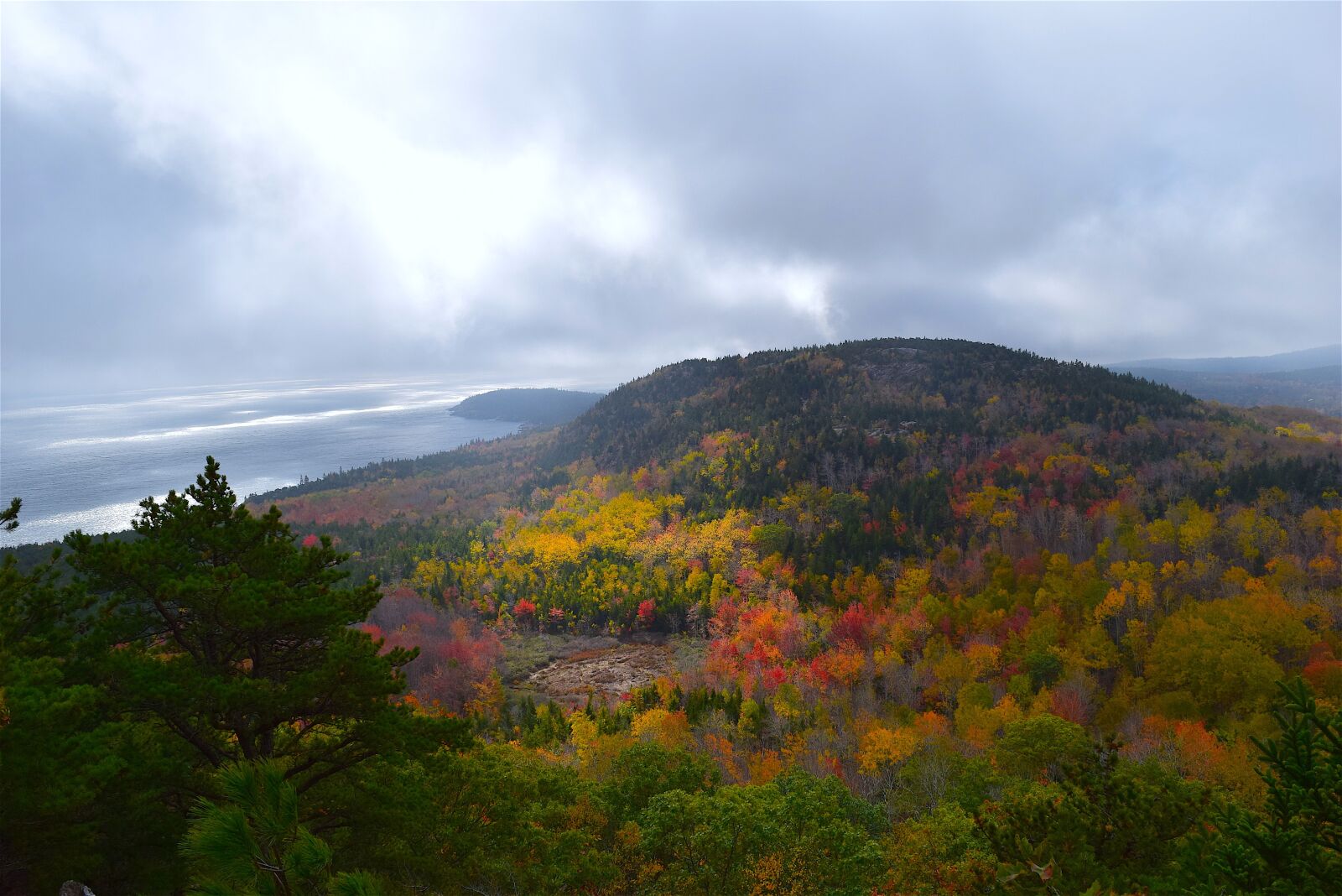Nikon D3300 sample photo. Mountain, trees, nature photography