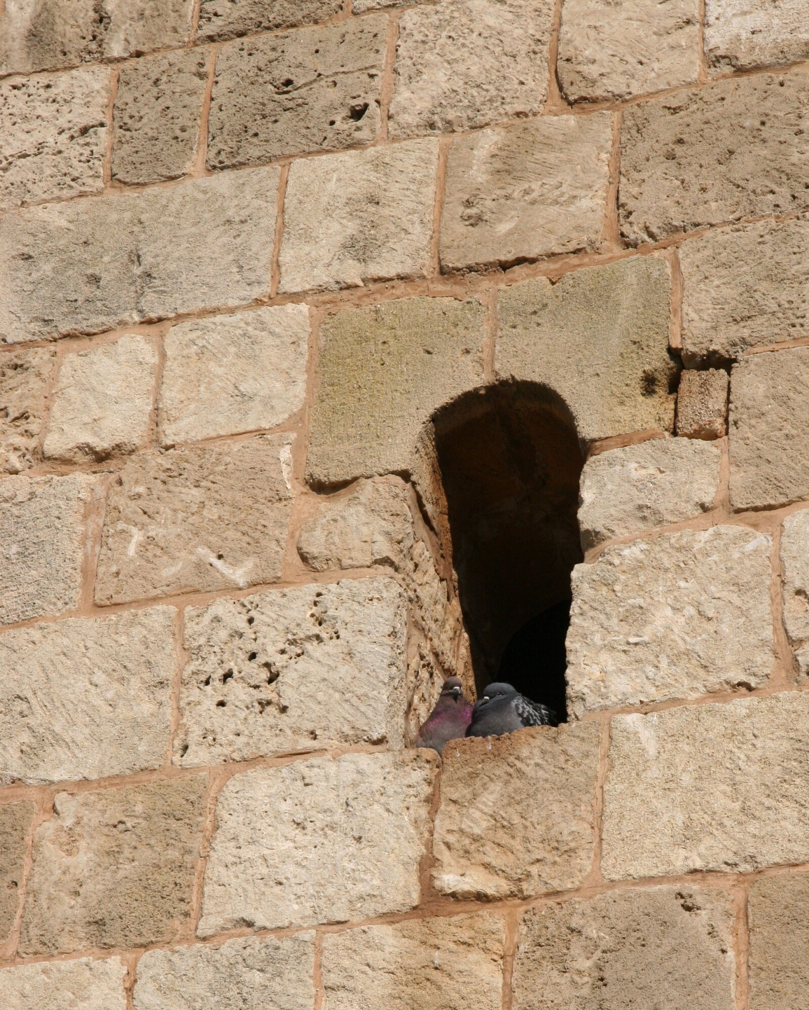 Canon EOS 20D sample photo. Love, inahole photography