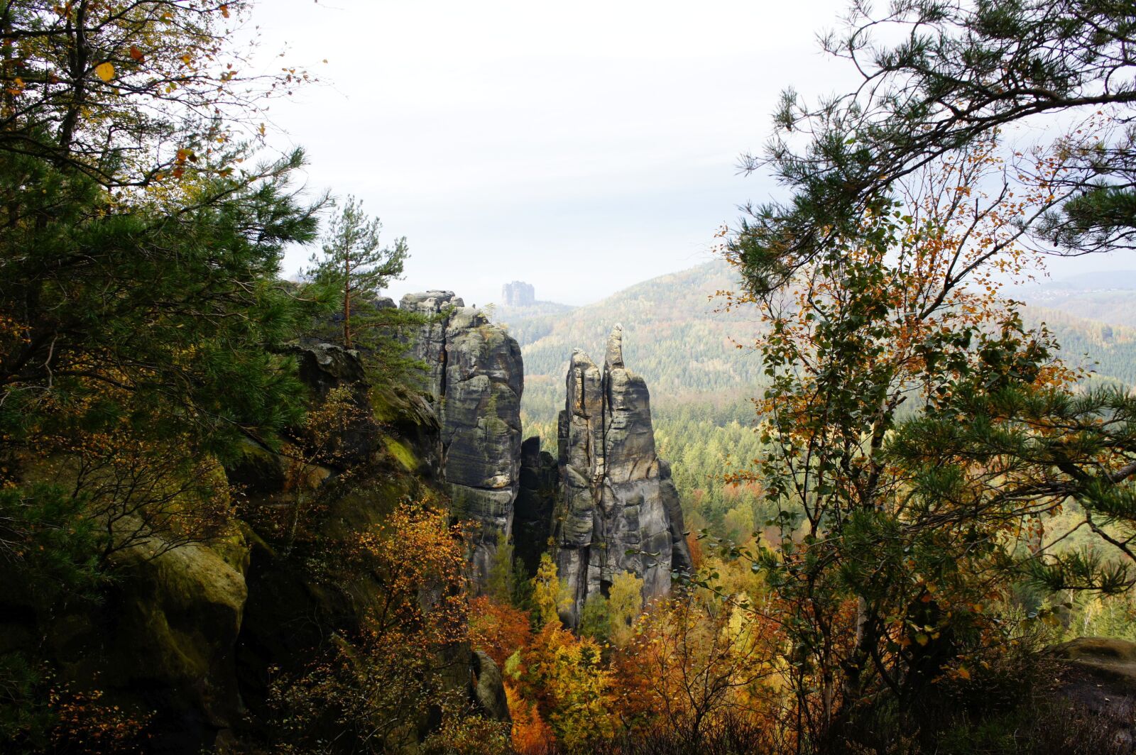 Sony Alpha NEX-3 sample photo. Autumn, saxony, nature photography