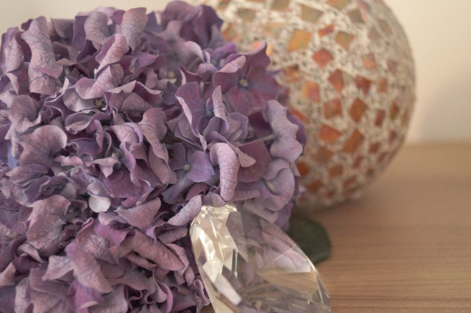 Sony SLT-A58 sample photo. Hydrangea, purple, background photography