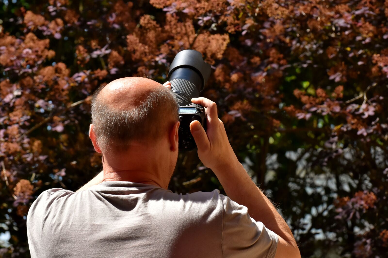 Nikon D7200 sample photo. Man, photographer, camera photography