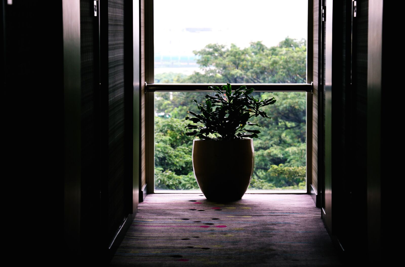 Canon EOS 70D sample photo. Trees, vase, window, balcony photography