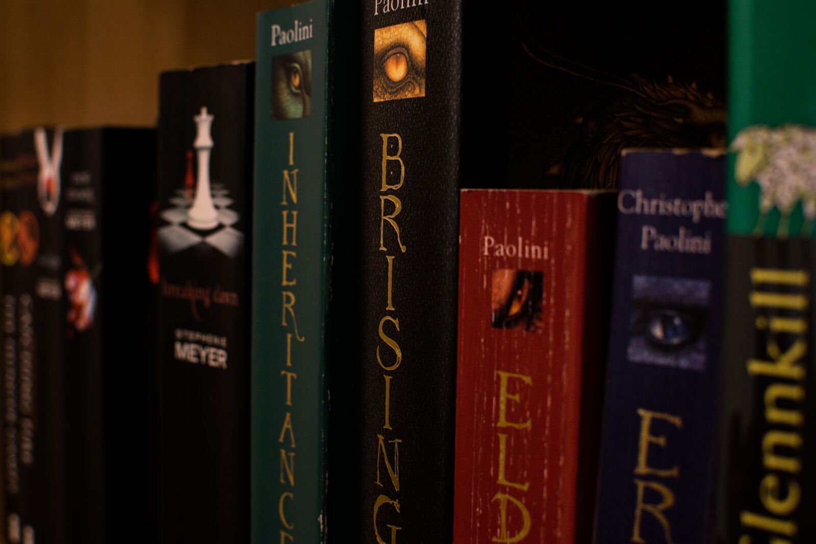 Nikon D3300 sample photo. Human, book, a photography