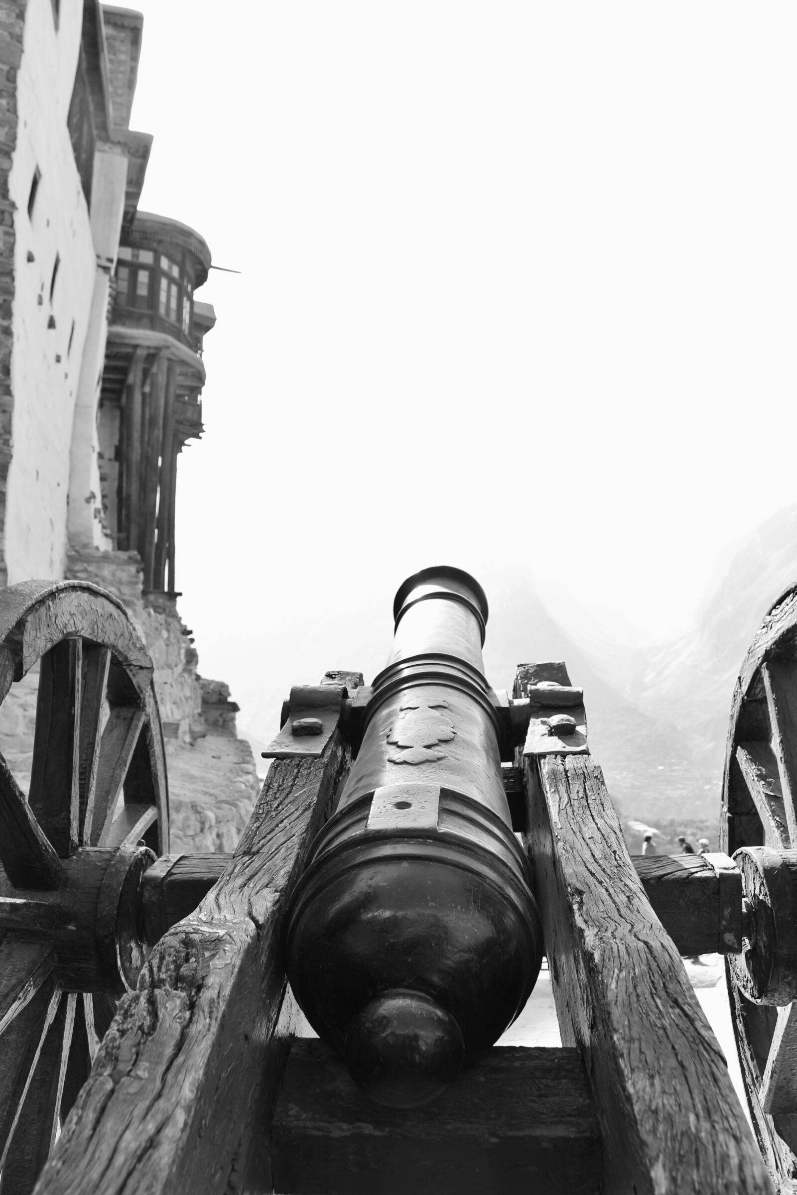 Canon EOS 700D (EOS Rebel T5i / EOS Kiss X7i) sample photo. Attack, old, artillery photography
