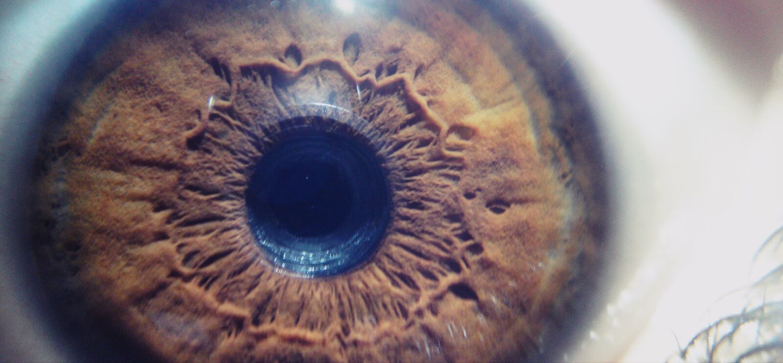 Sony Ericsson U1i sample photo. Eye, face, macro photography