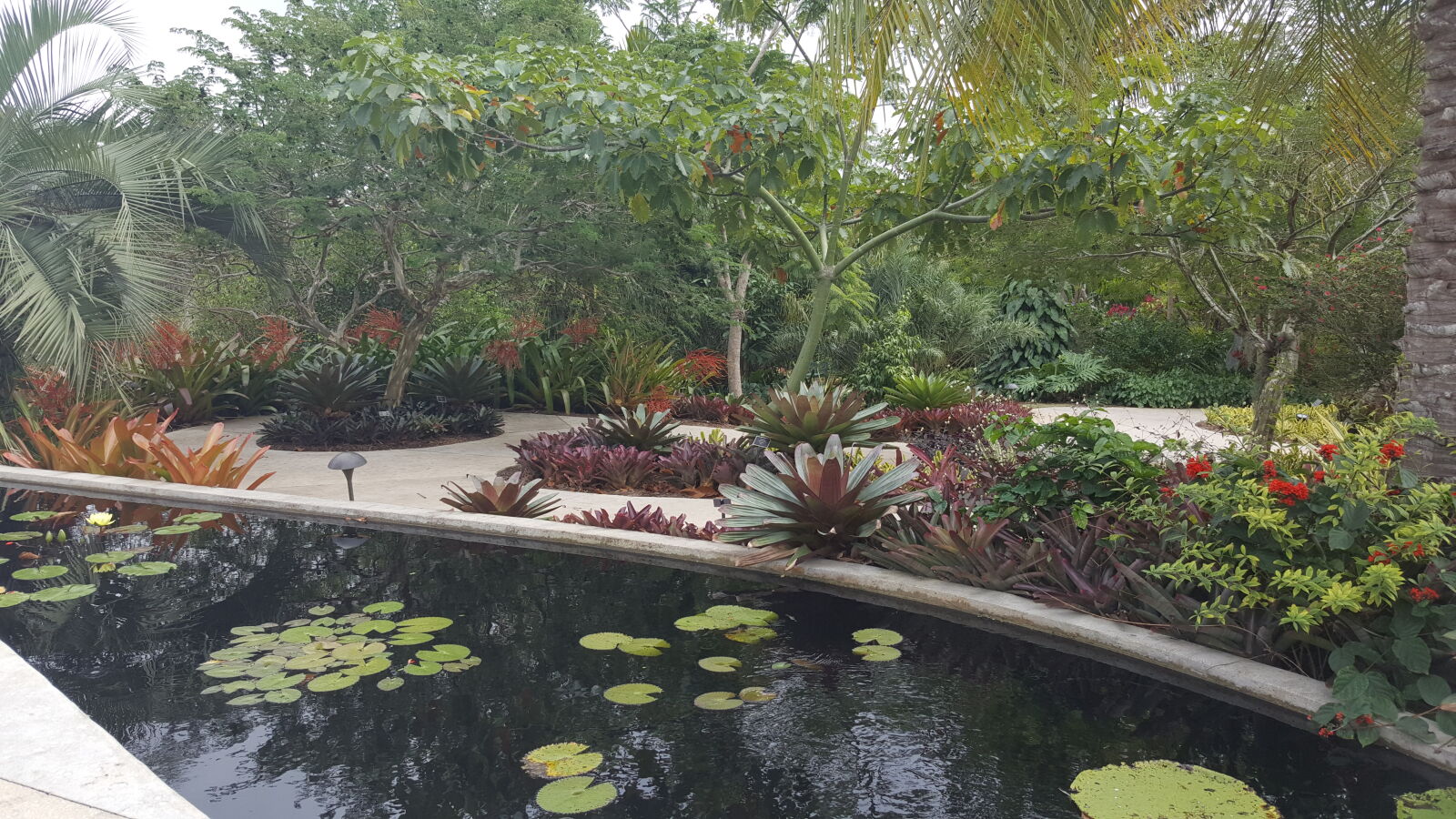Samsung GALAXY S6 edge sample photo. Botanical, gardens, naples photography